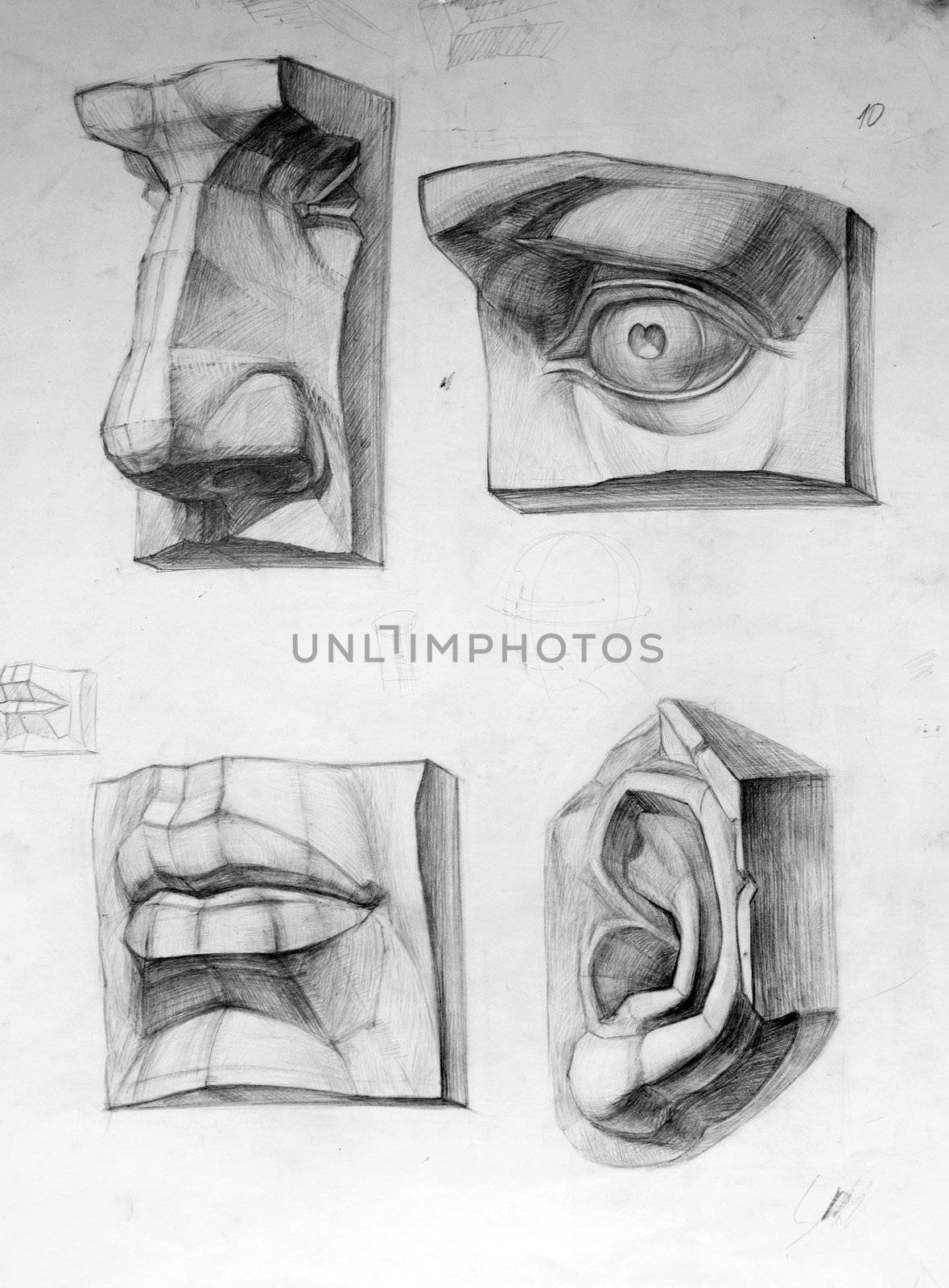 Plaster cast human body fragments drawing: nose, eye, mouth, ear,