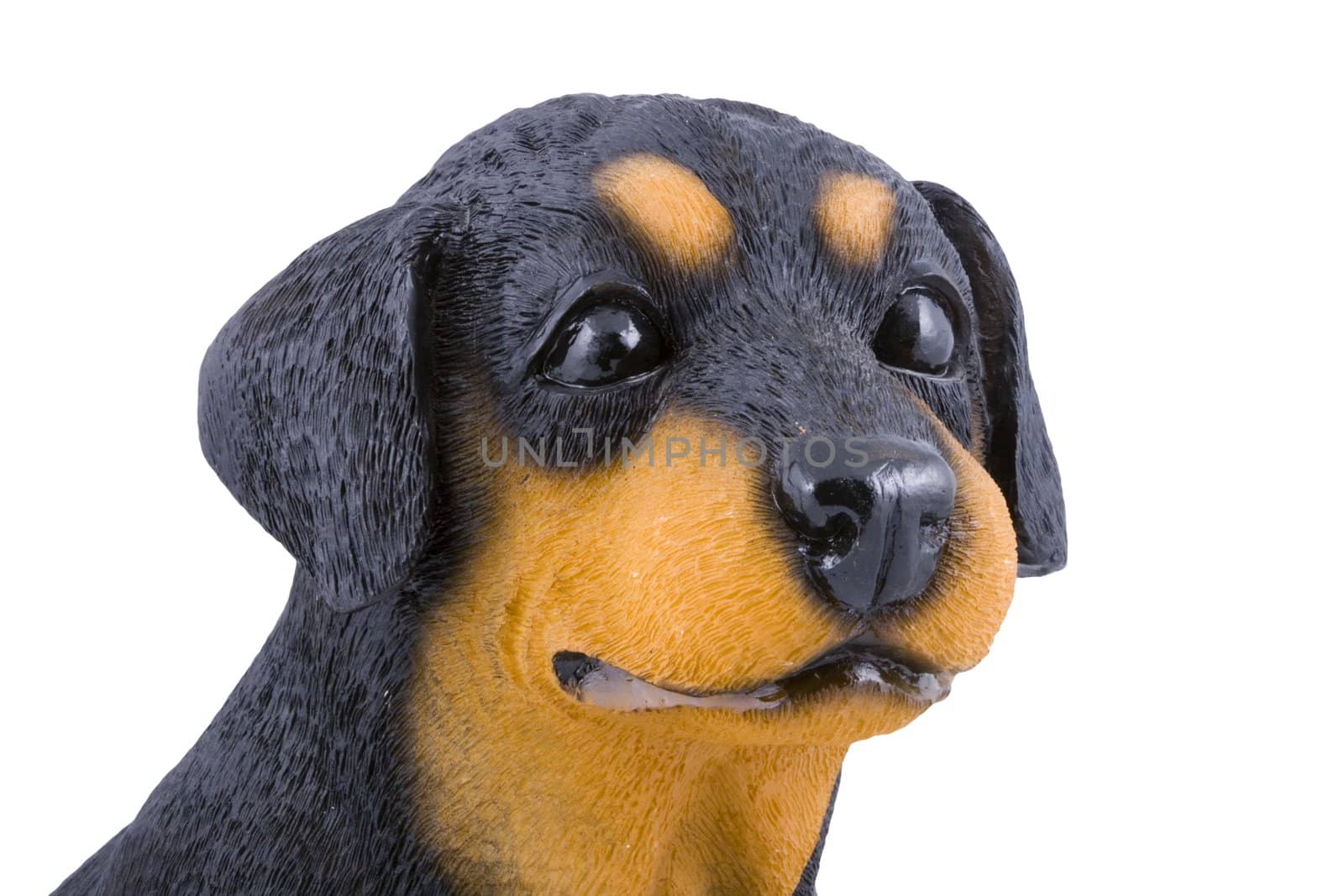 head of a small plastic toy doggie isolated