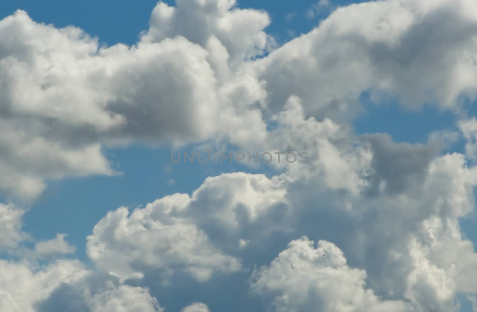 blue summer sky with white fluffy clouds