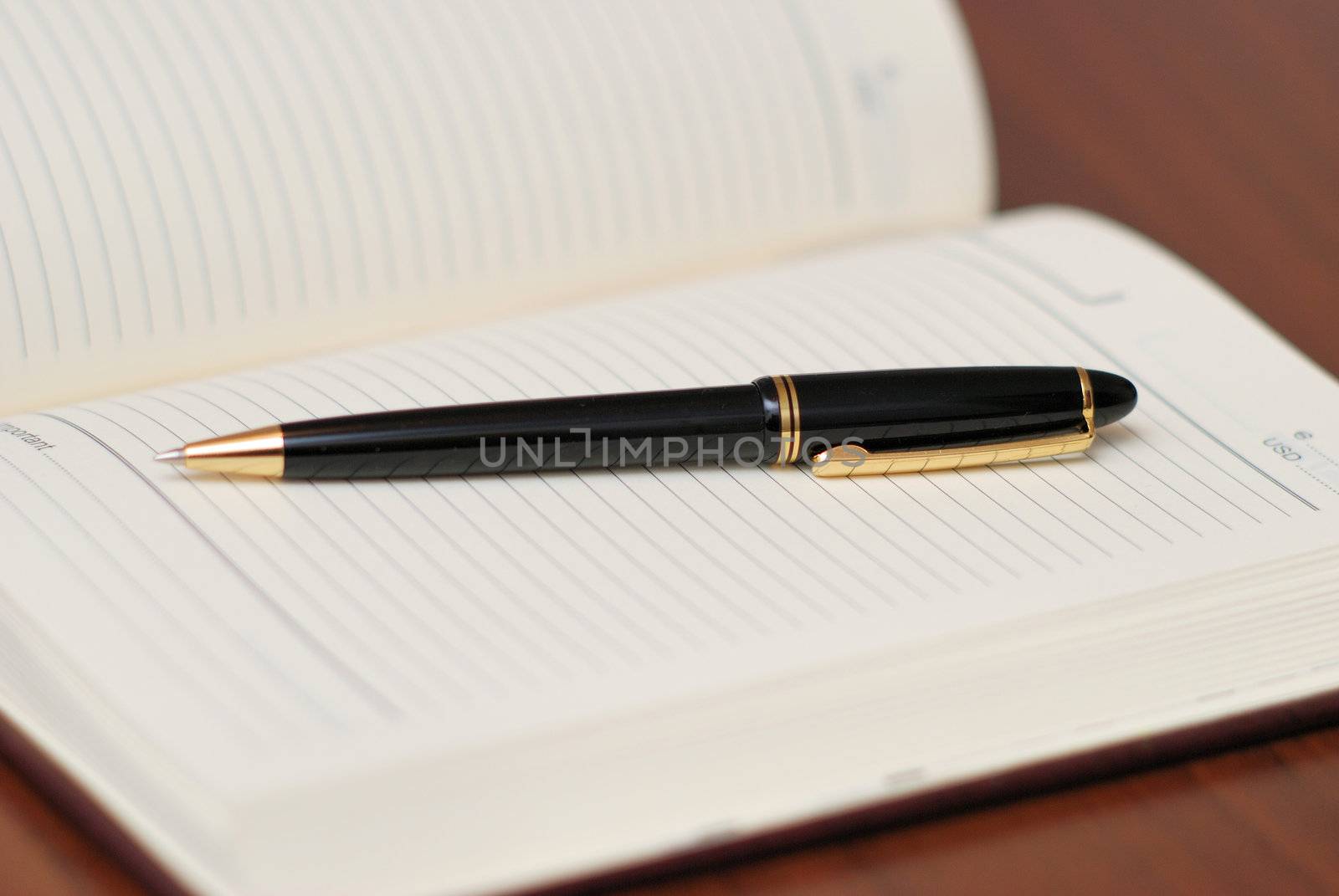 close-up of luxury ballpoint on blank organizer