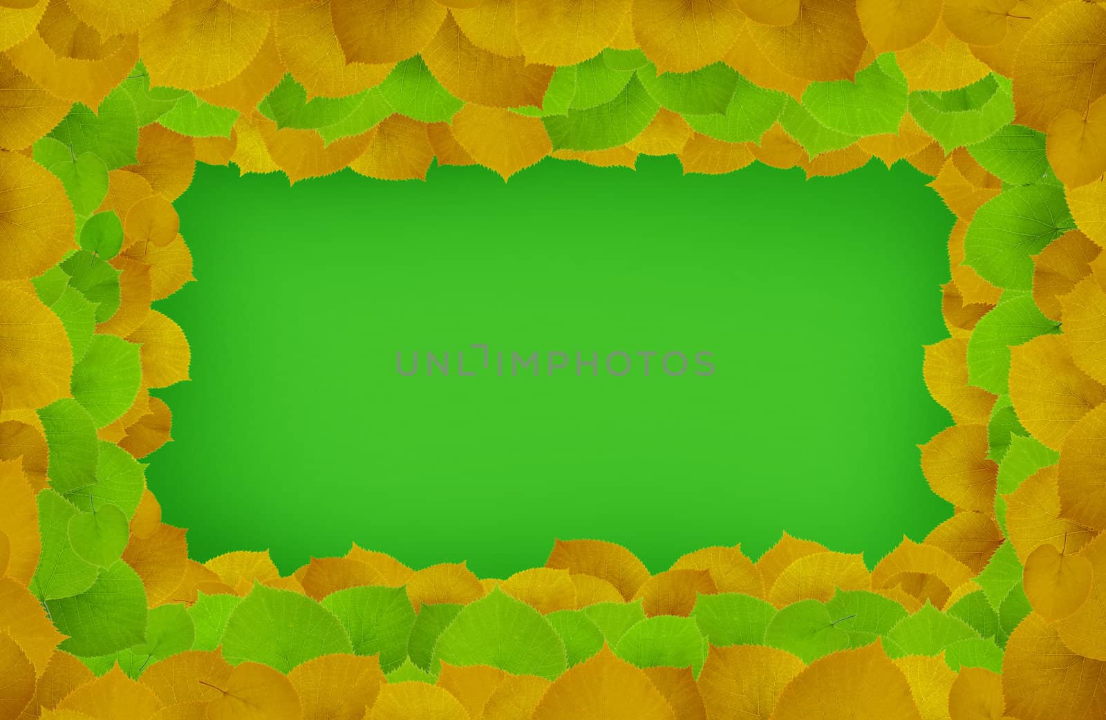 green and yellow leafs -frame on green background. clipping path included