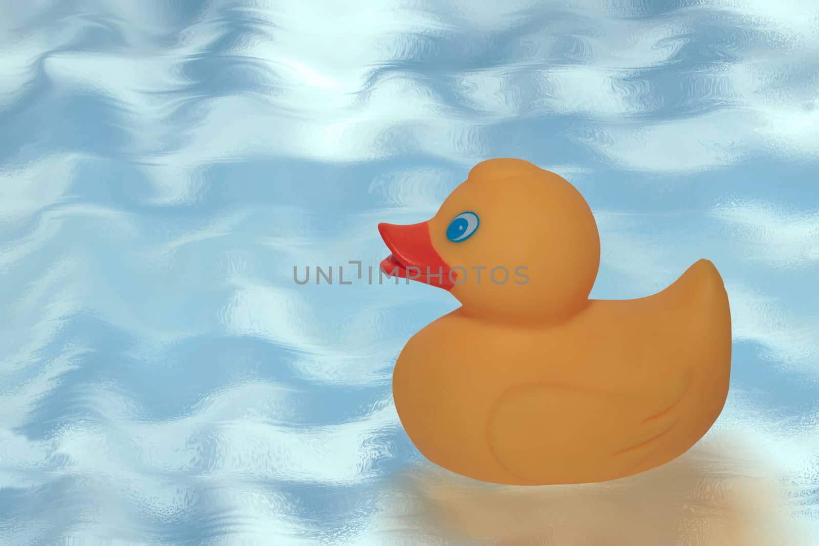 a rubber duck swimming in the blue water with copy space.includes a clipping path.