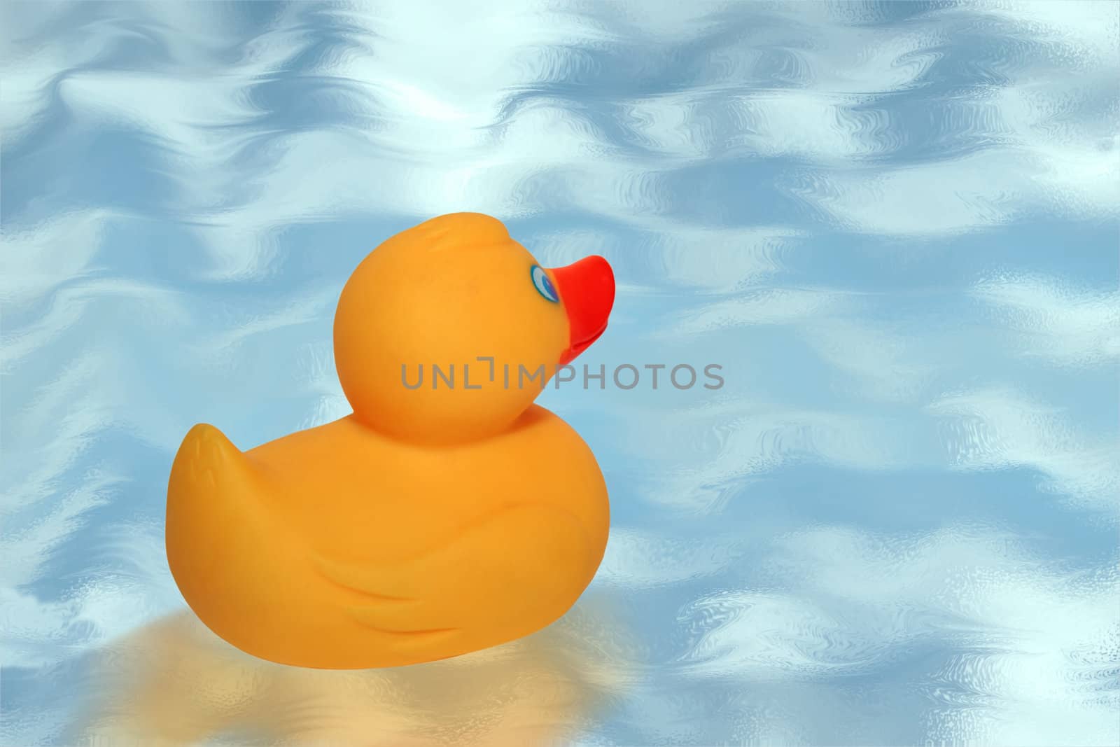 rubber duck 1 by morrbyte