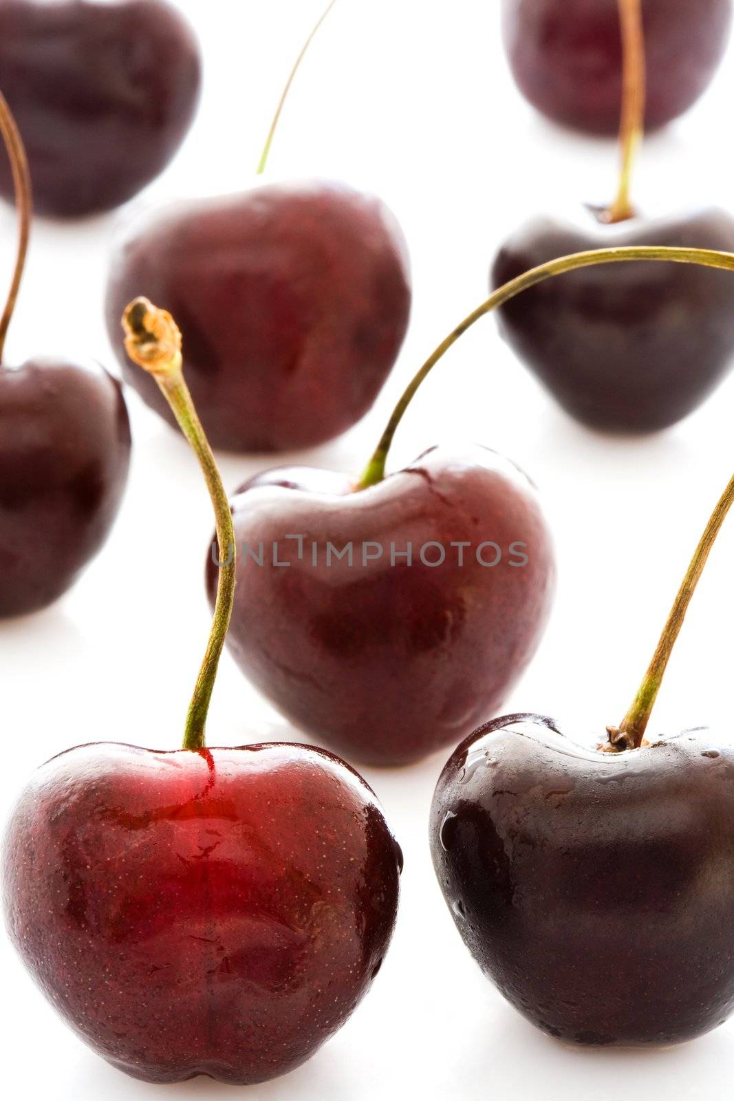 Some juicy ripe dark red sweet cherries close up 
