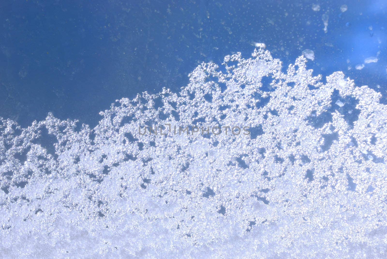 Snow lying on a window 