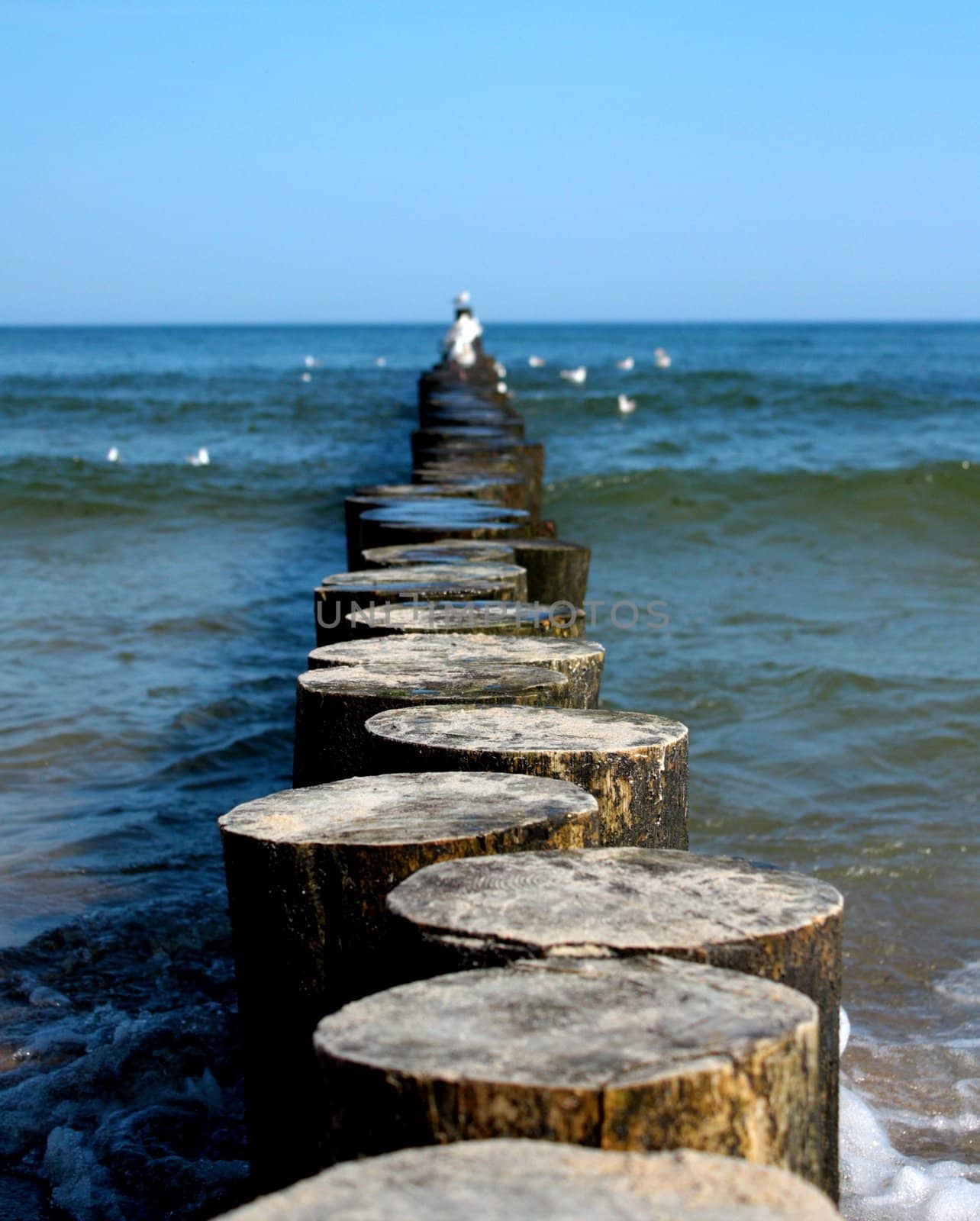 The beautiful sea in the Poland