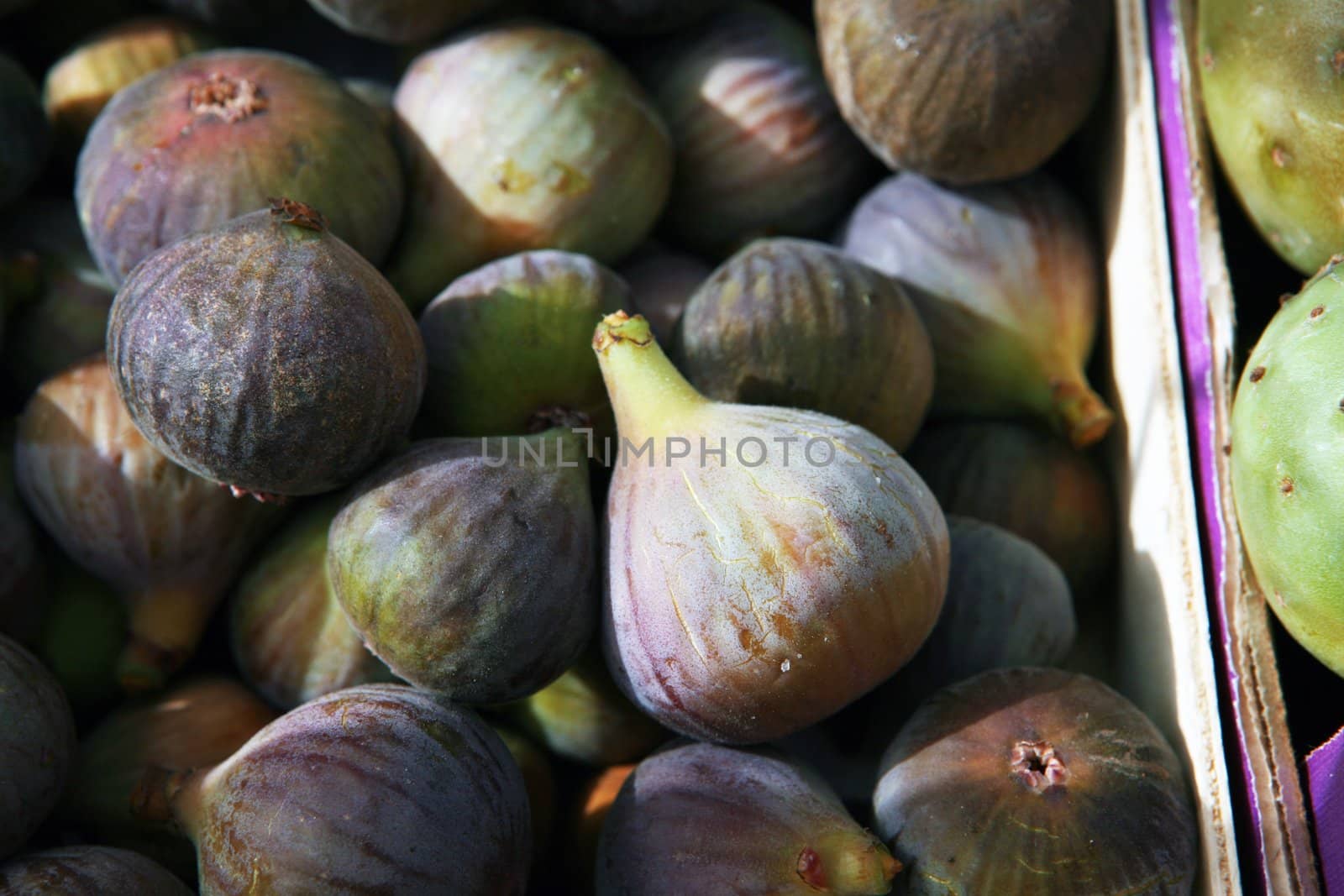 Figs by haak78