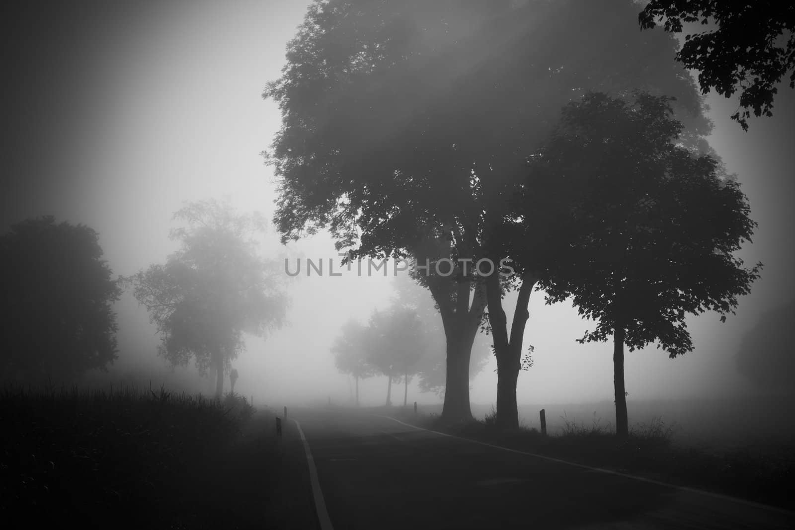 An image of a beautiful landscape with fog in bavaria germany