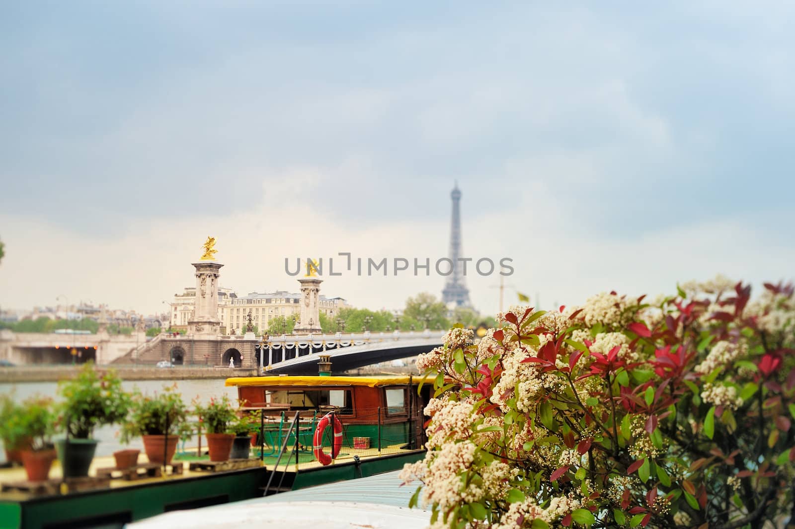 View of bridge Alexander III and Eiffel tower in Paris