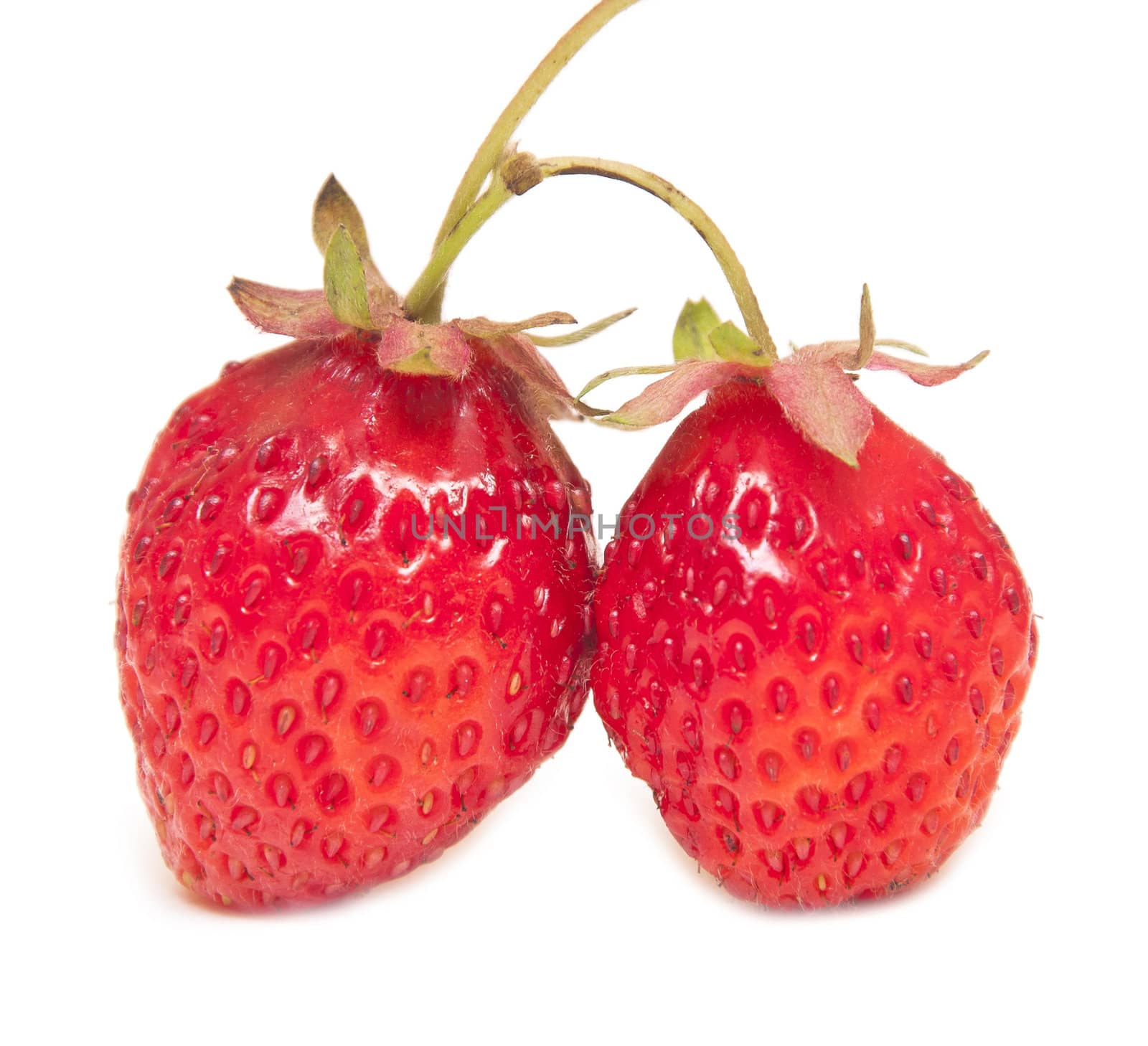 fresh and tasty strawberries isolated on white background 