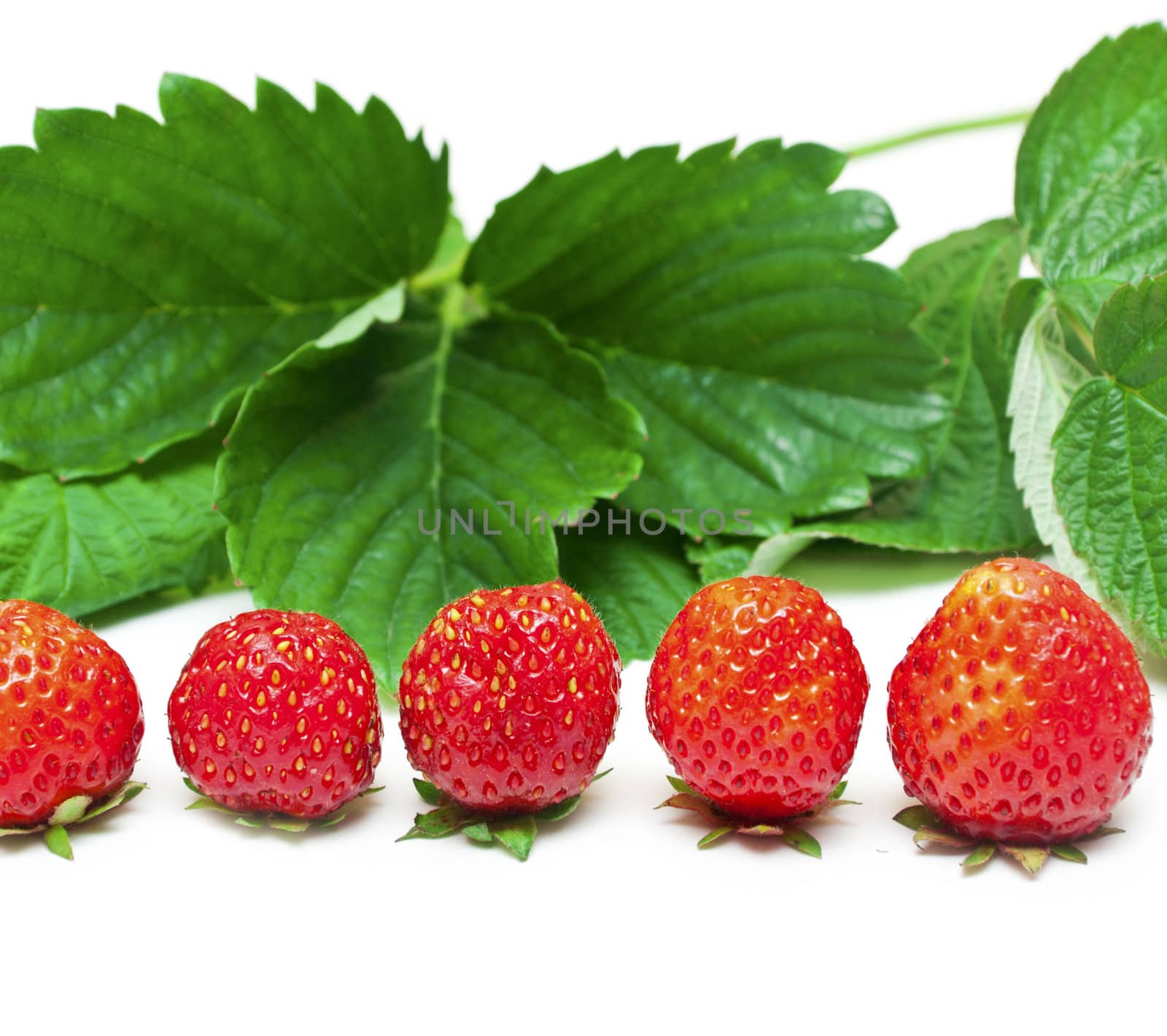 fruits of strawberry isolated on white background 