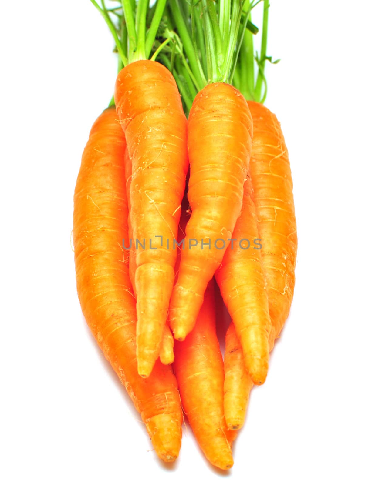 carrot fresh vegetable group on white background 