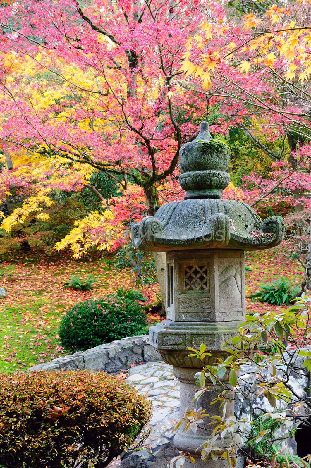 Pretty Japanese architecture design in garden with fall colors