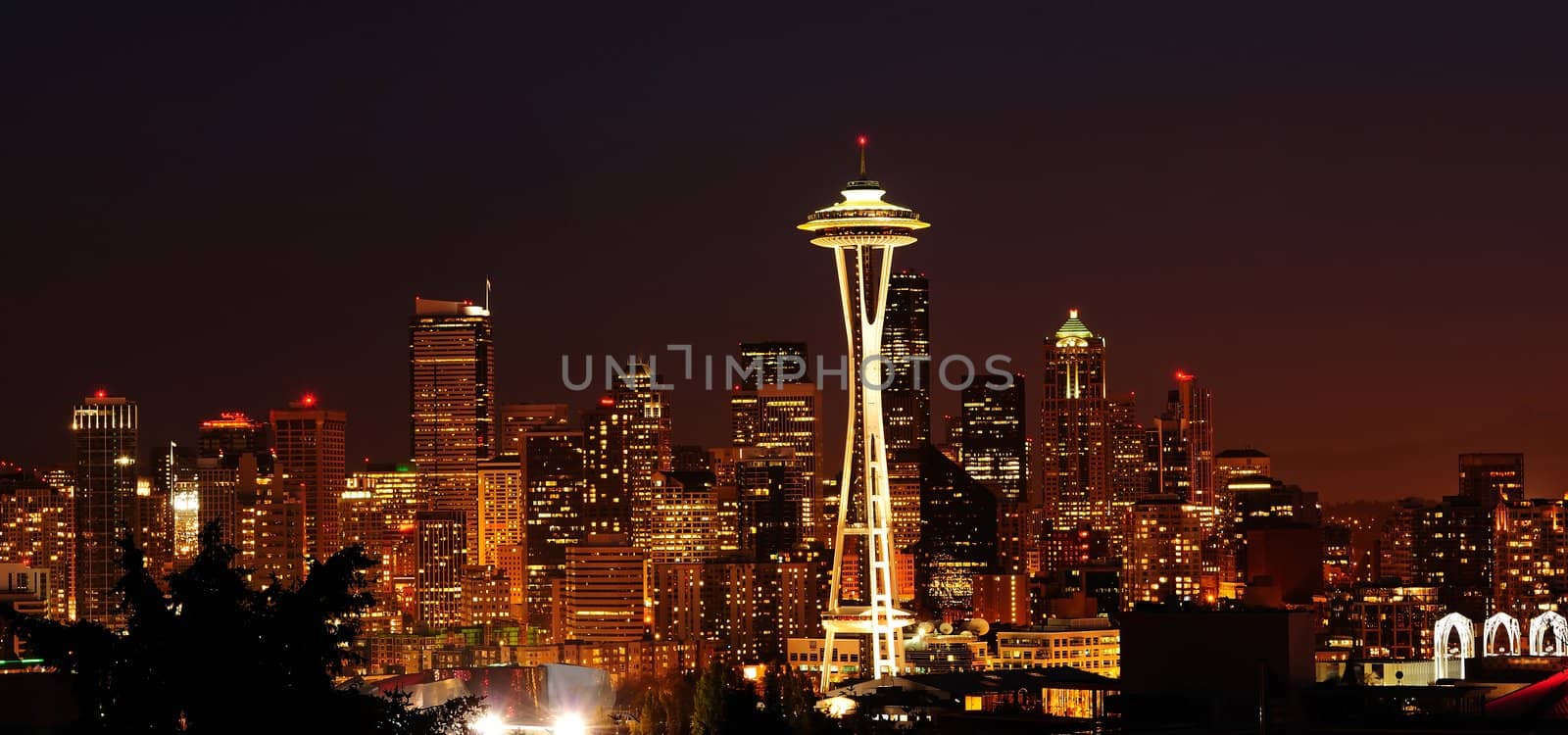 Glittering Seattle skyline by neelsky