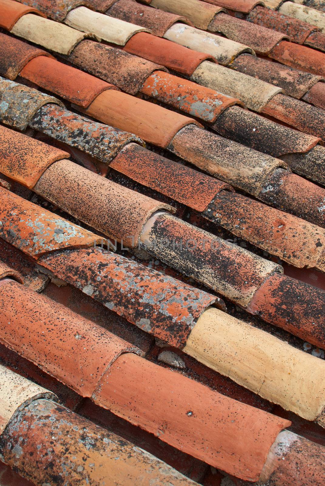 Vertical take of weathered roofing tiles texture