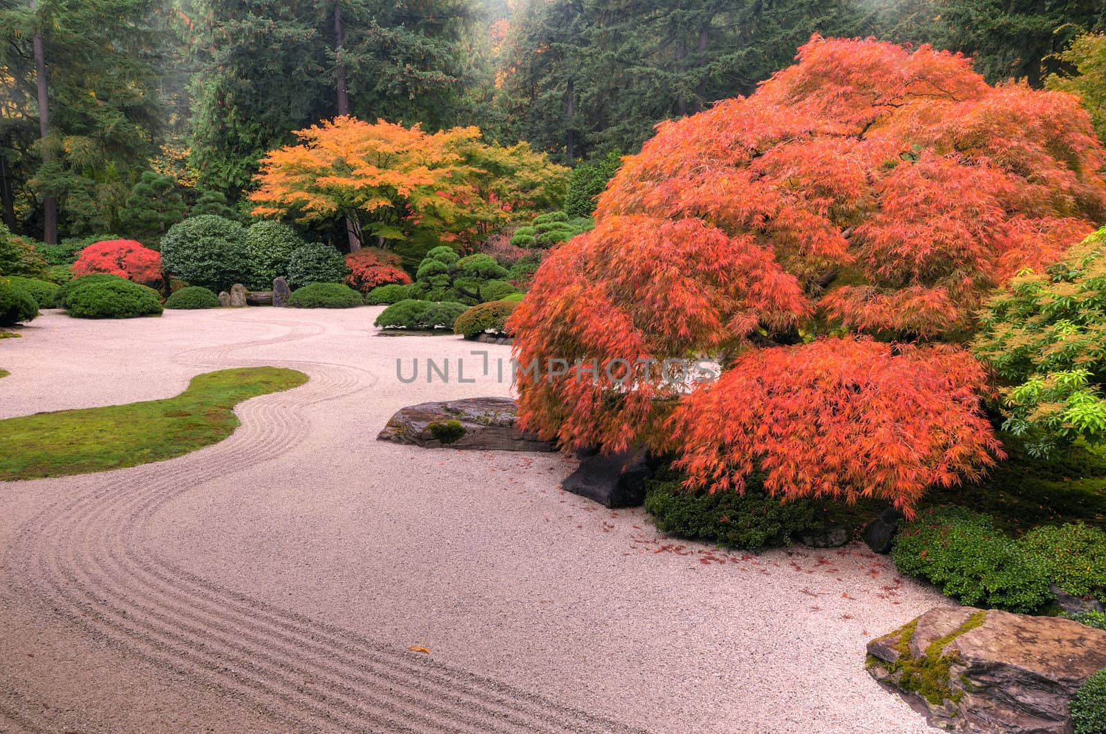 Beautiful autumn colors in a stone chinese garden