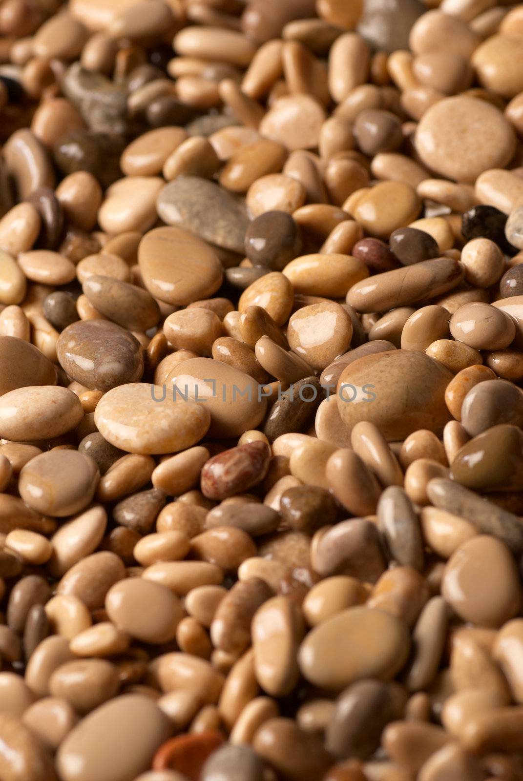 Background of small moist beach stone pebbles