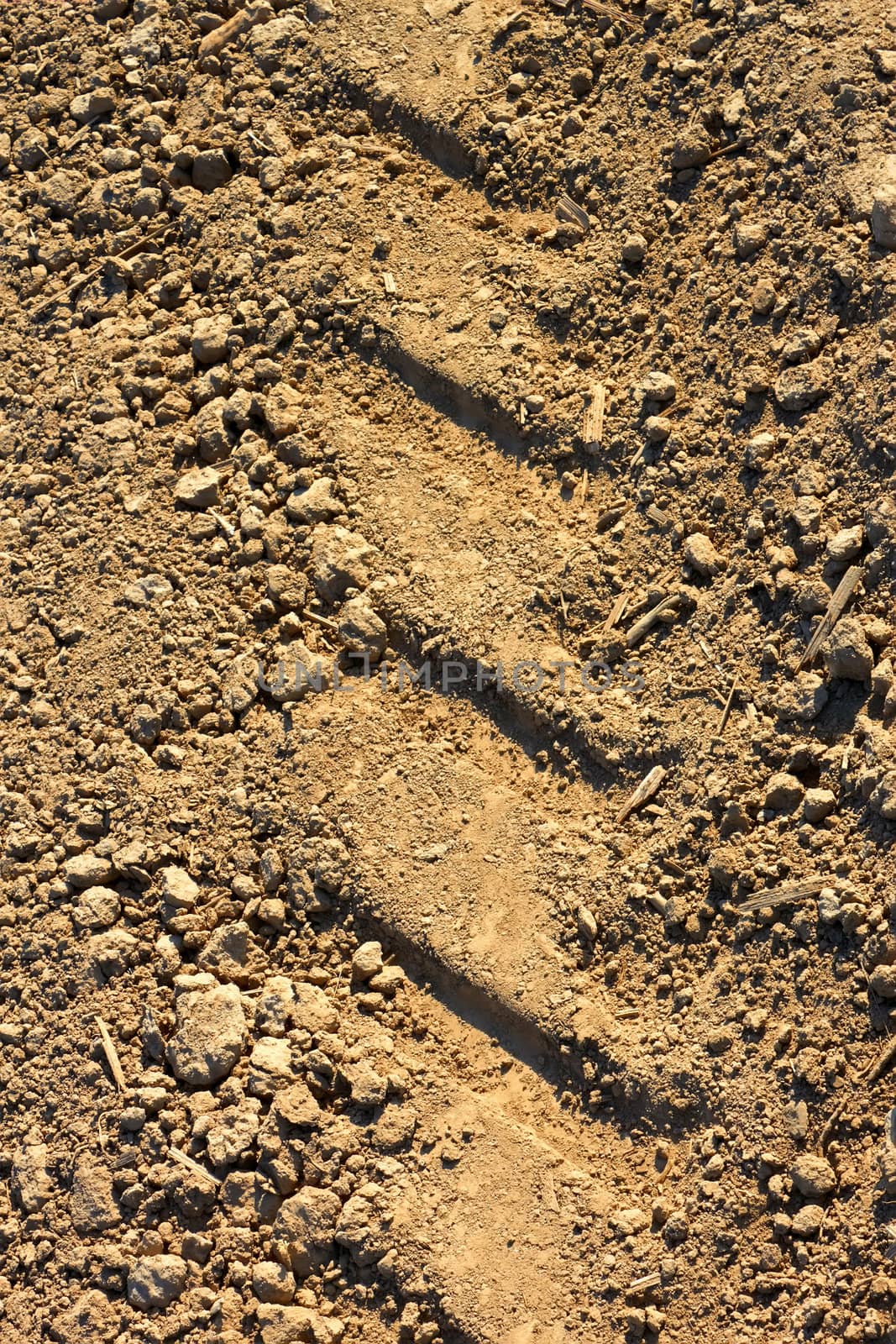 Tread pattern of a truck tire on the dried soil