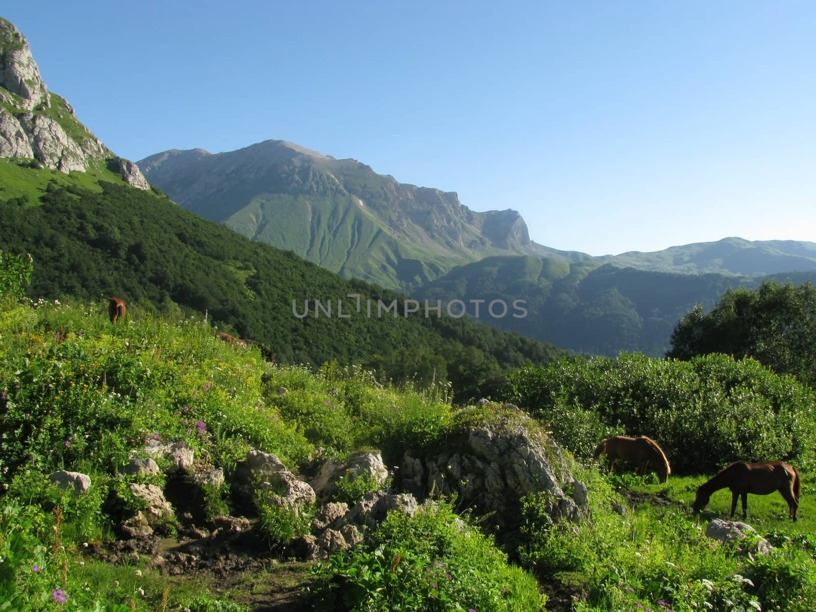 Mountains, rocks; a relief; a landscape; a hill; a panorama; Caucasus; top; a slope; a snow, clouds; the sky