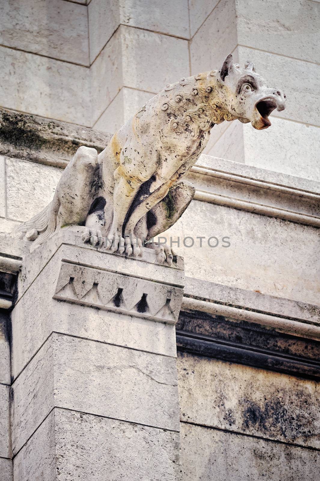 One of famous Chimera on the Notre Dame