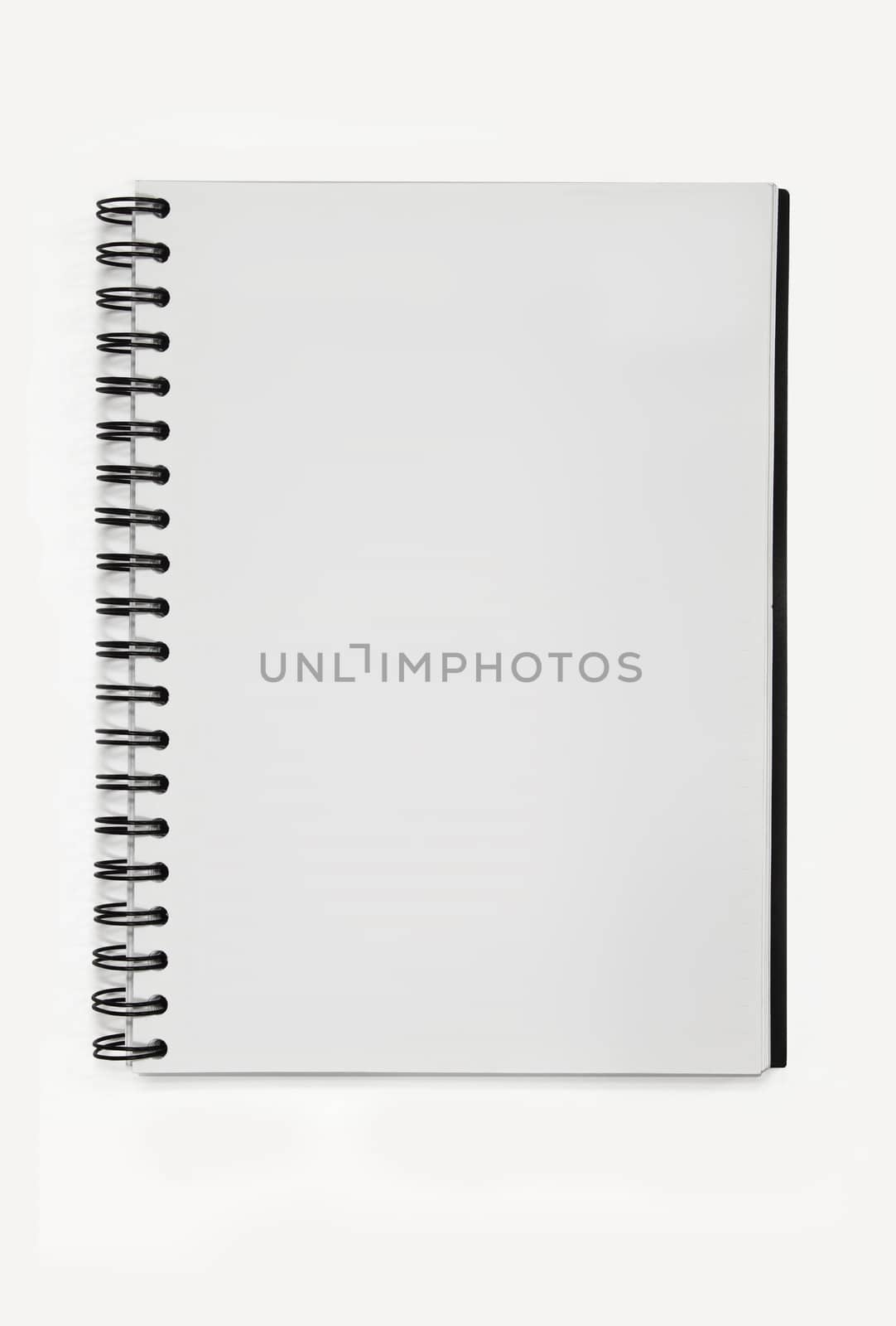 spiral notebook paper without line isolated background.  