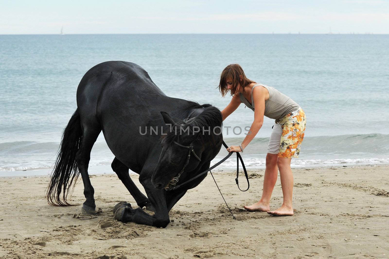 girl and  horse on the beach by cynoclub