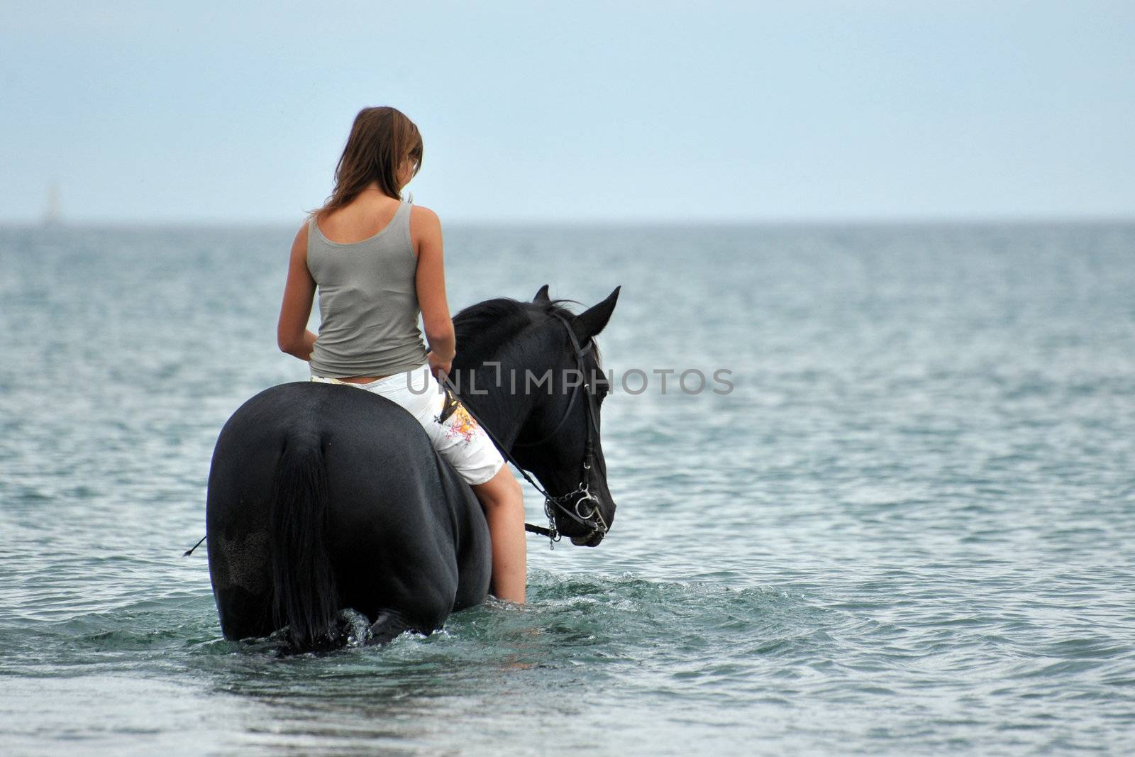 black stallion in the sea with young woman