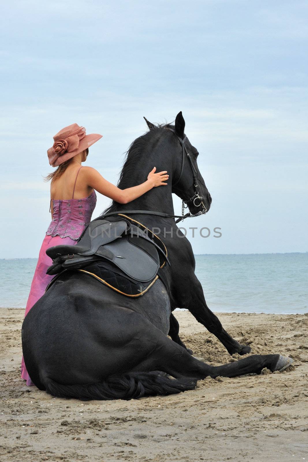 sitting horse on the beach by cynoclub