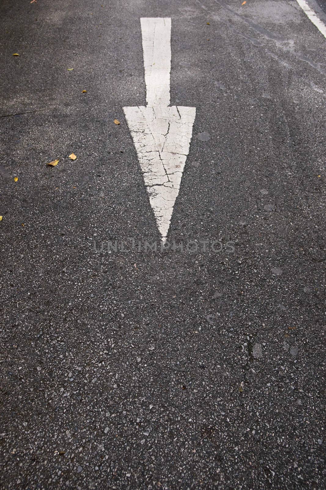 White arrow on the gray asphalt, road sign