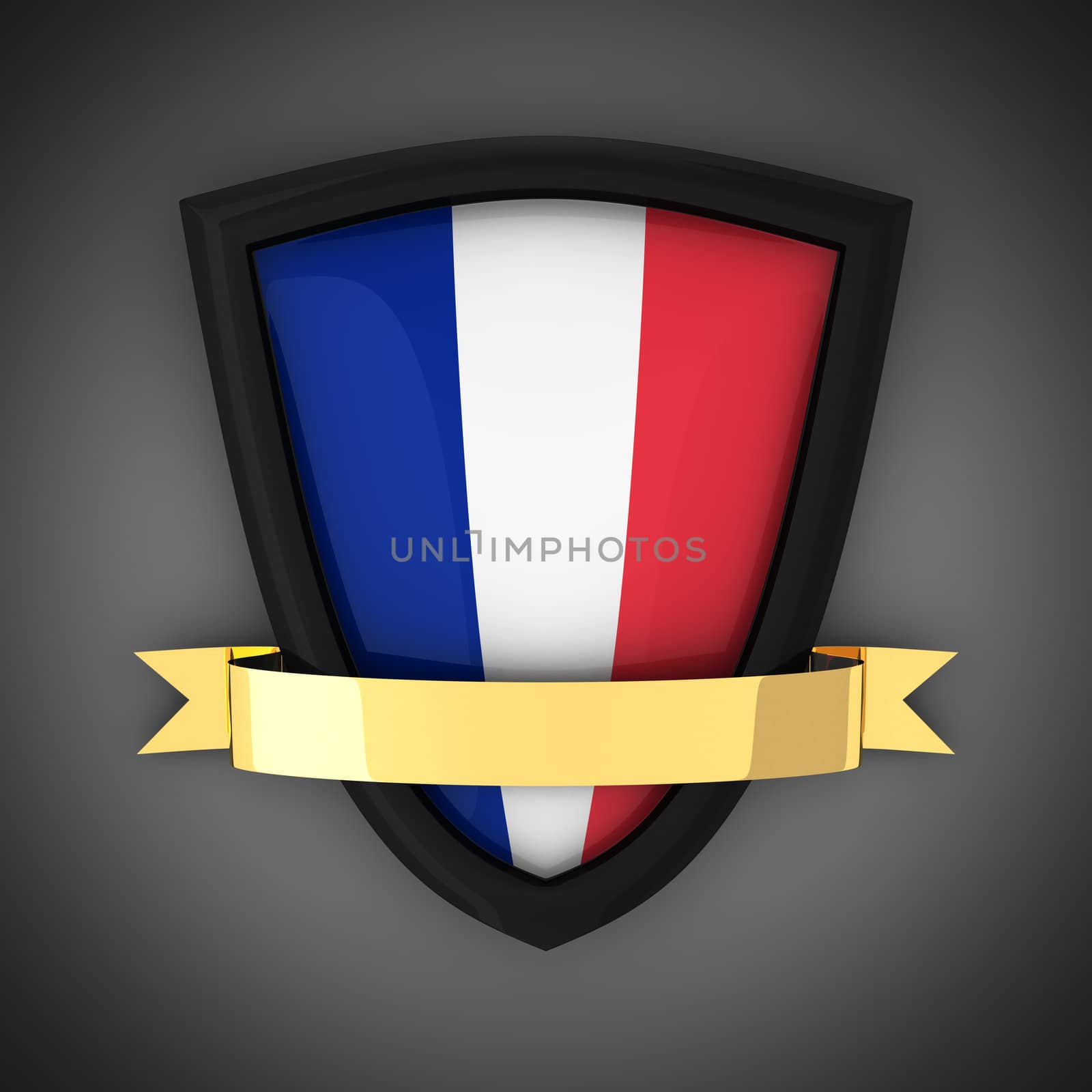The shield in the colors of the flag of France and gold ribbon