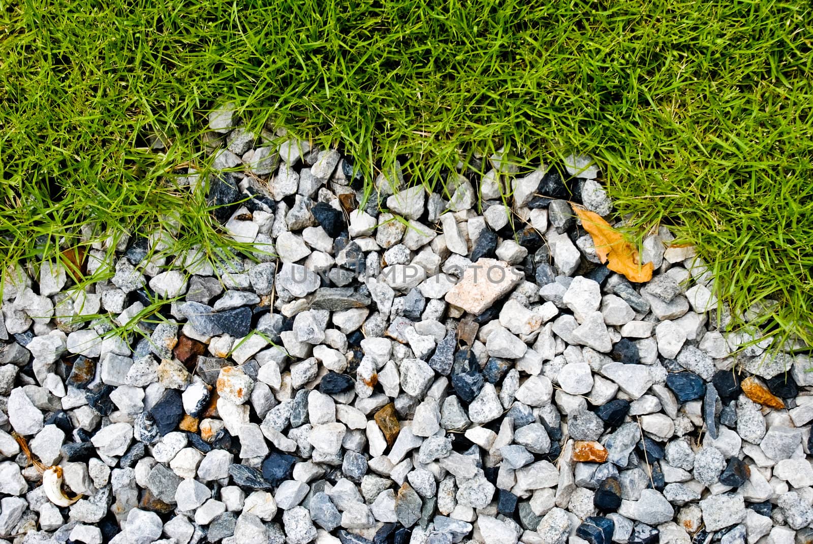 Grass and stone