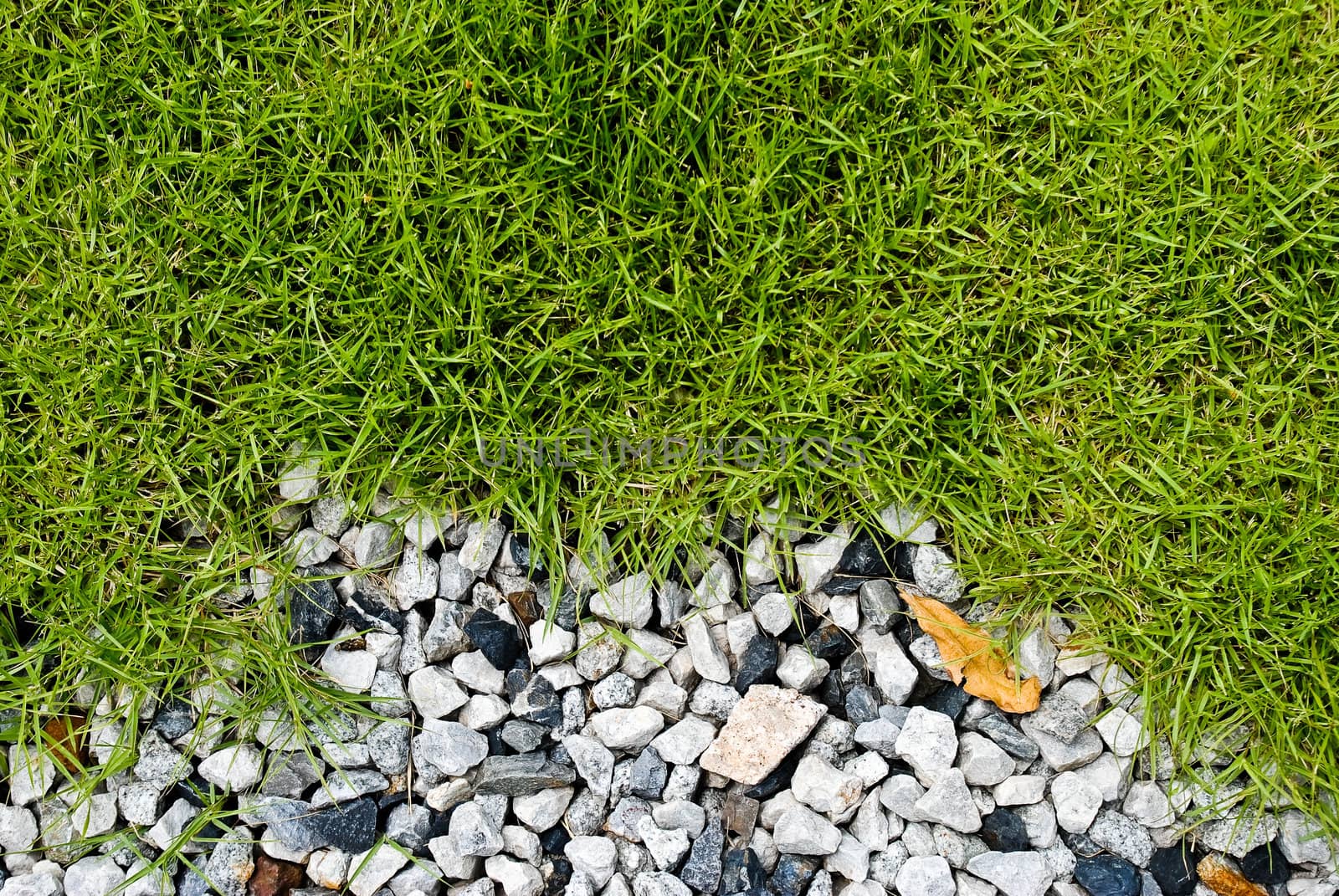 Grass and stone