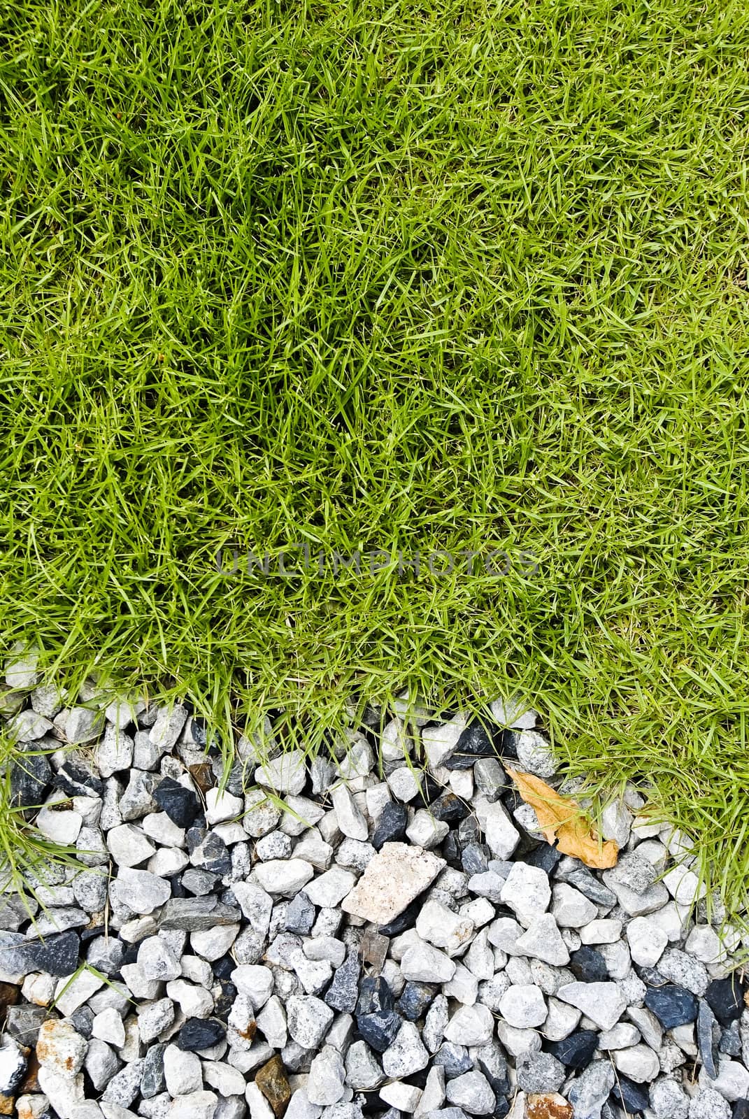 Grass and stone