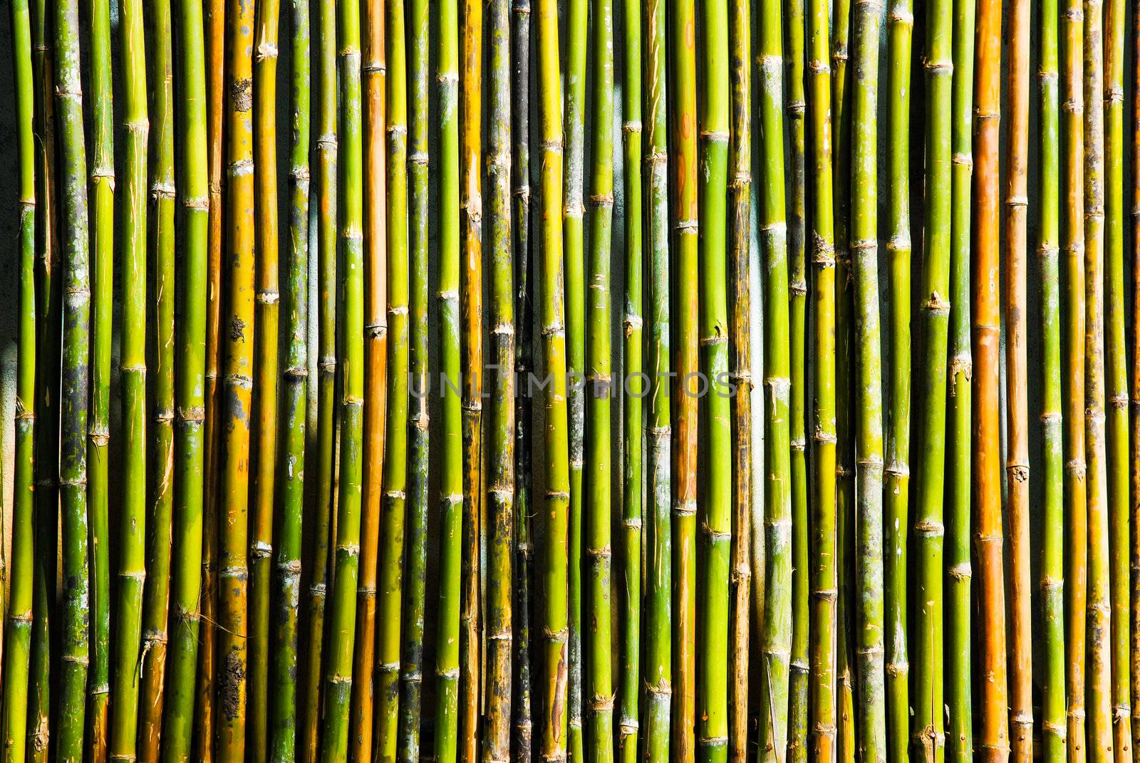 Bamboo panel by mooboyba