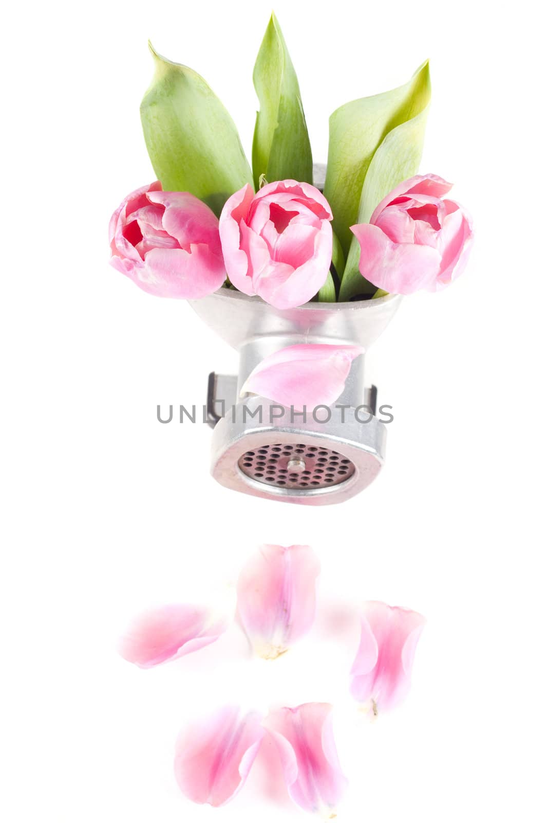 Conceptual photo with mincing machine and flowers isolated on white
