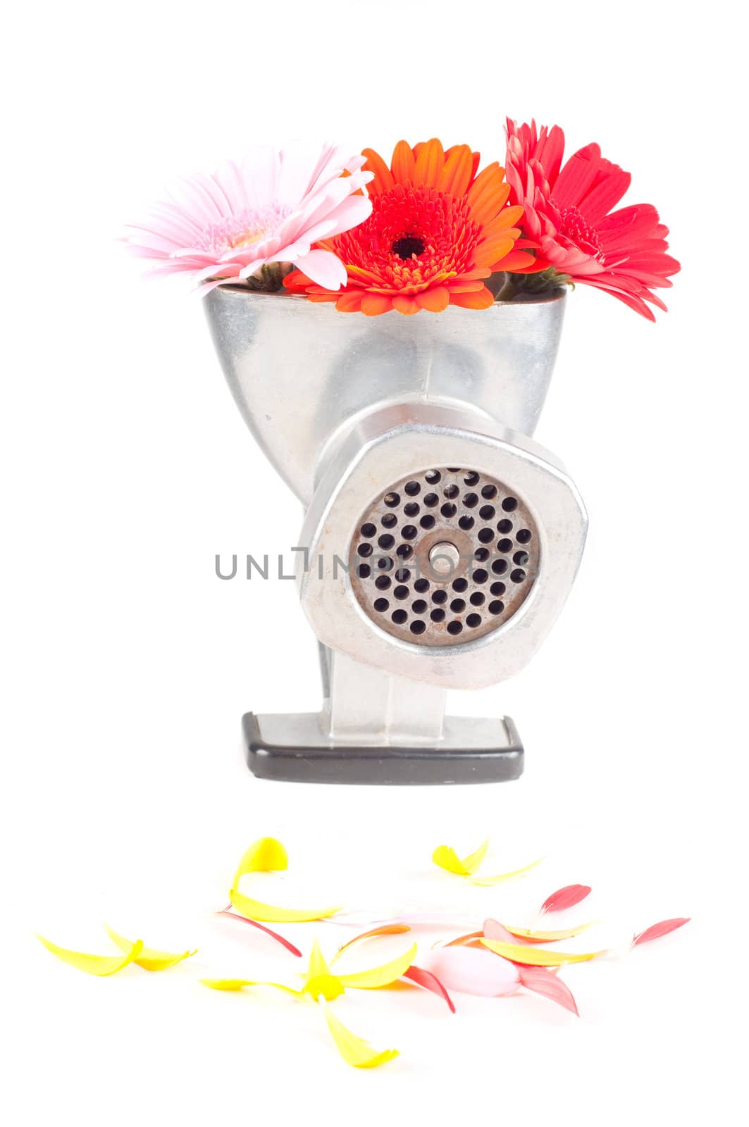 Conceptual photo with mincing machine and flowers isolated on white