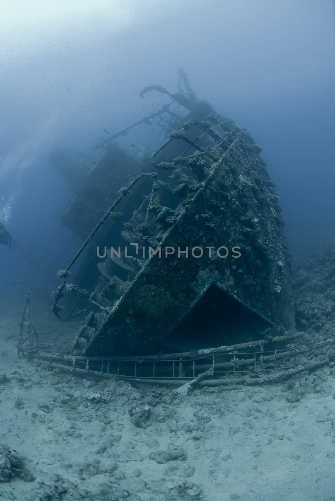 Rear view  of the stern of the Red Sea shipwreck, Giannis D, Sha�ab Abu-Nuhas, Red Sea, Egypt. Taken July 2010