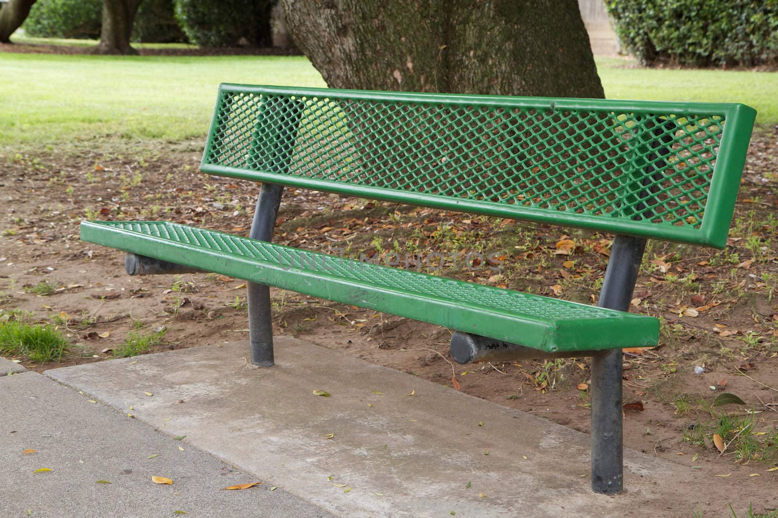 Green metal bench with trees and grass in background