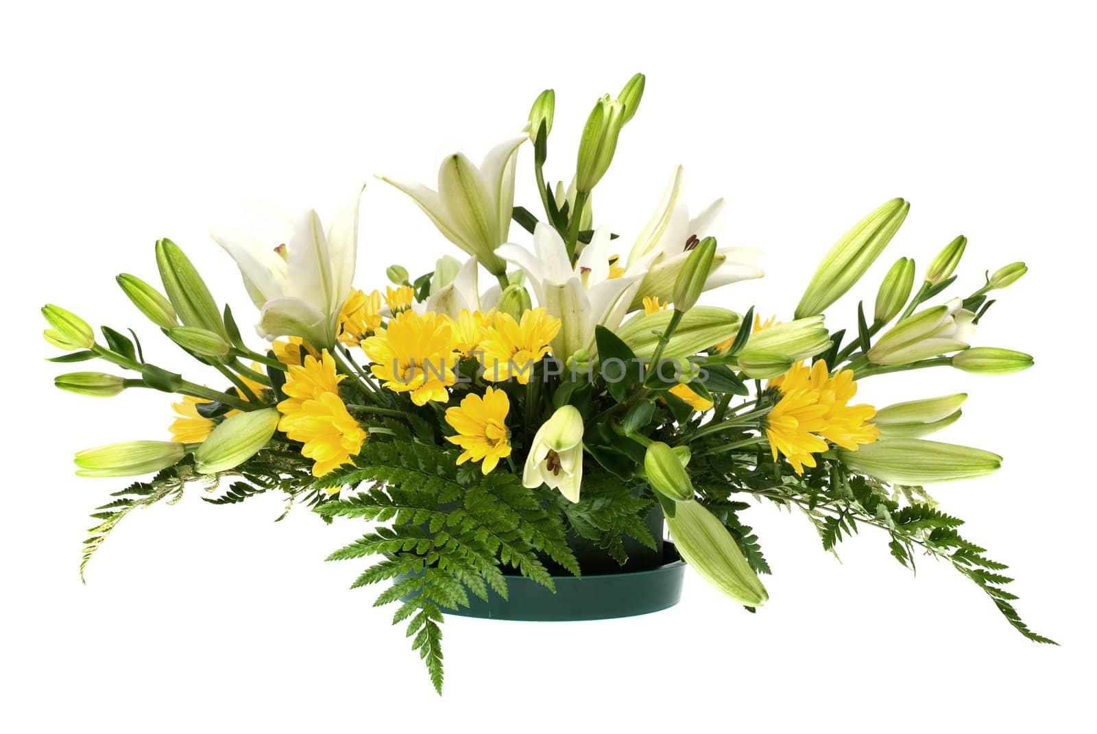 Yellow daisy and white flowers arrangement isolated on white background.
