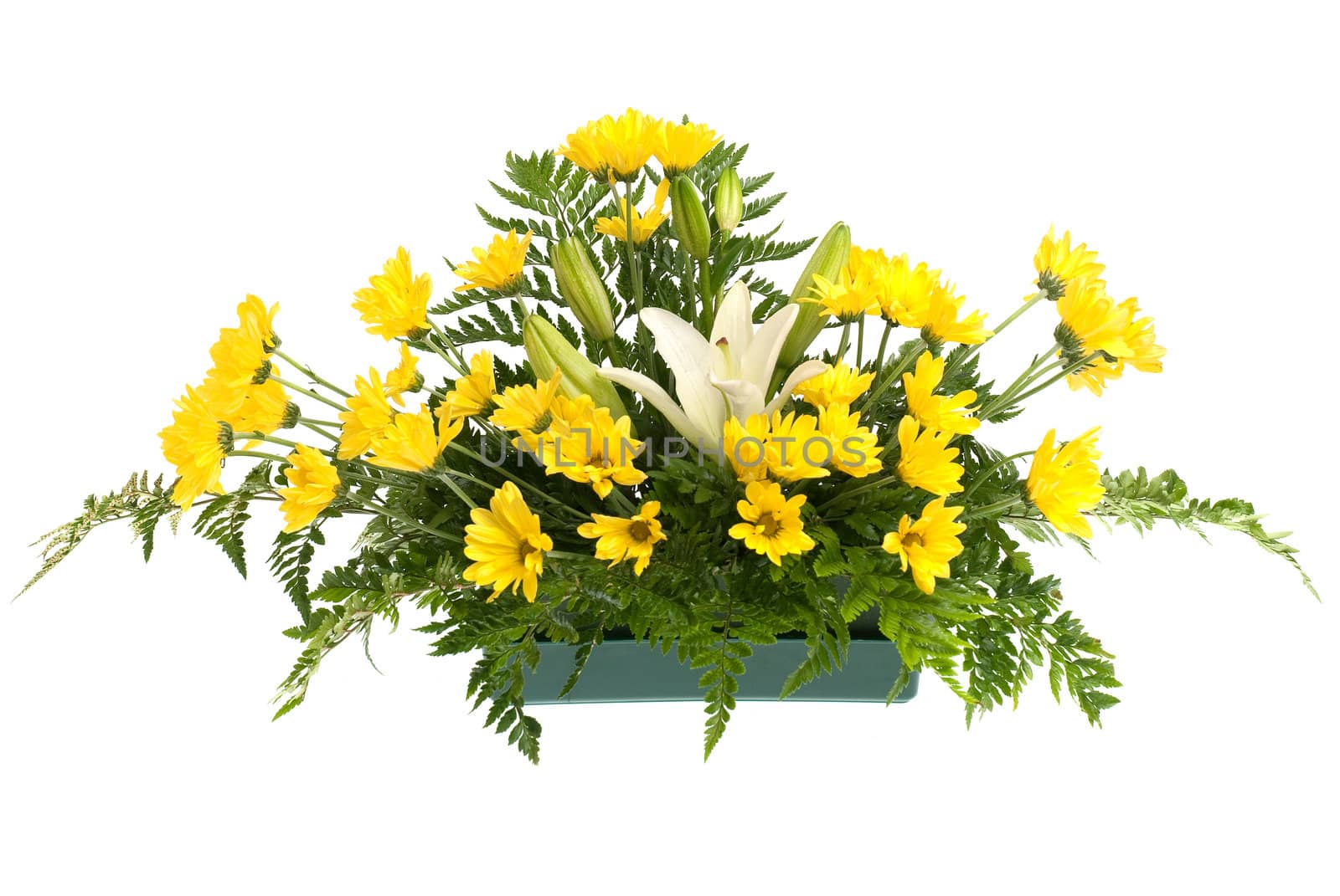 Yellow daisy and white flowers arrangement isolated on white background.