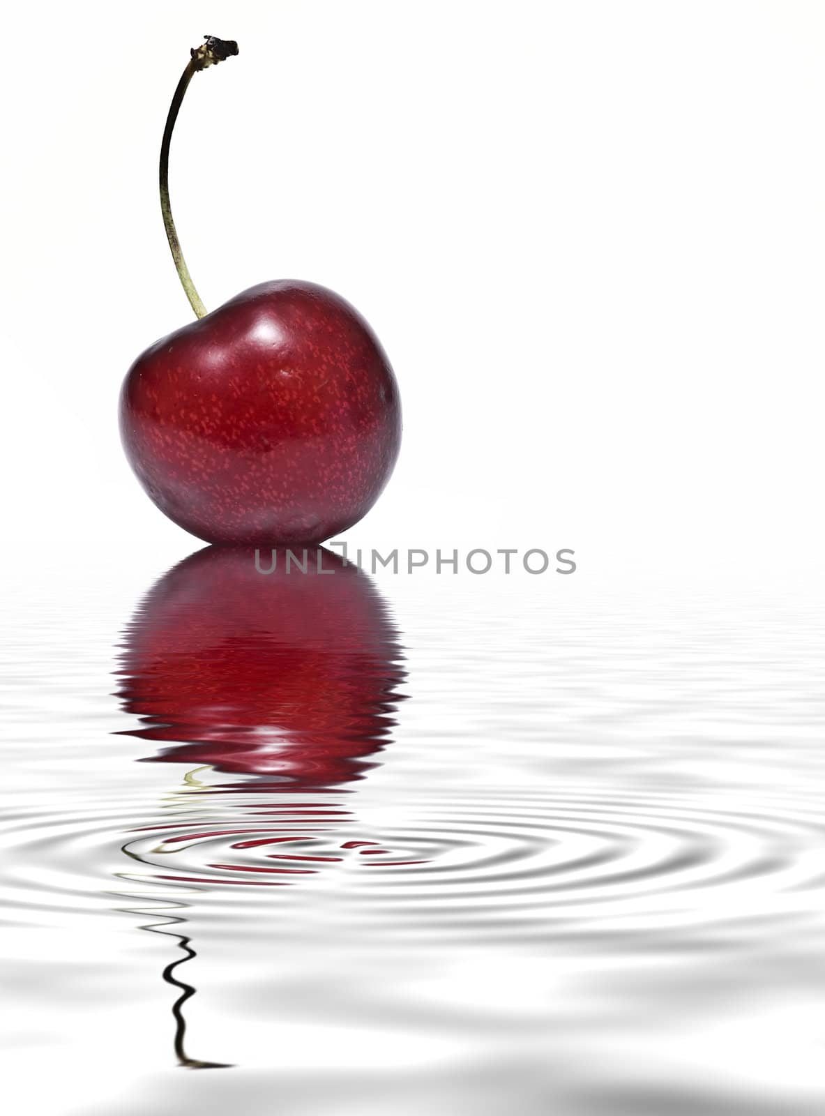 Cherries isolated on a white background.