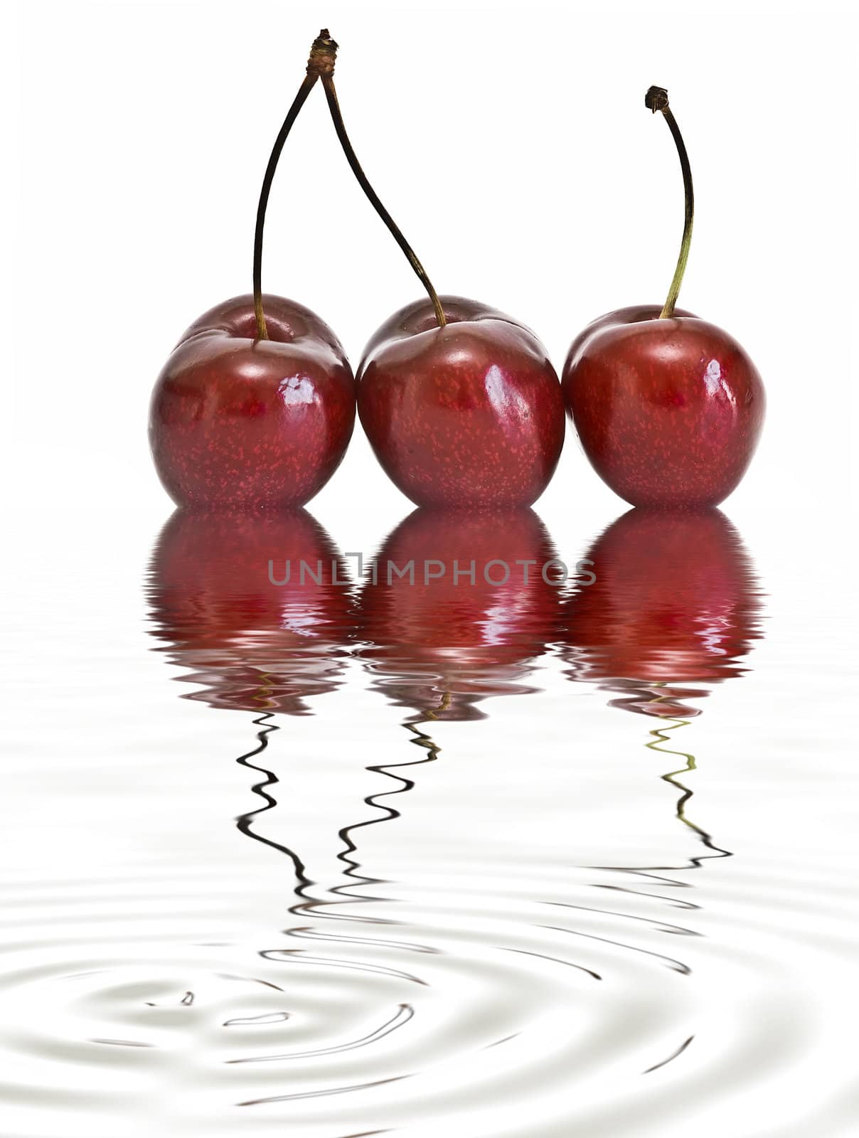 Cherries isolated on a white background.