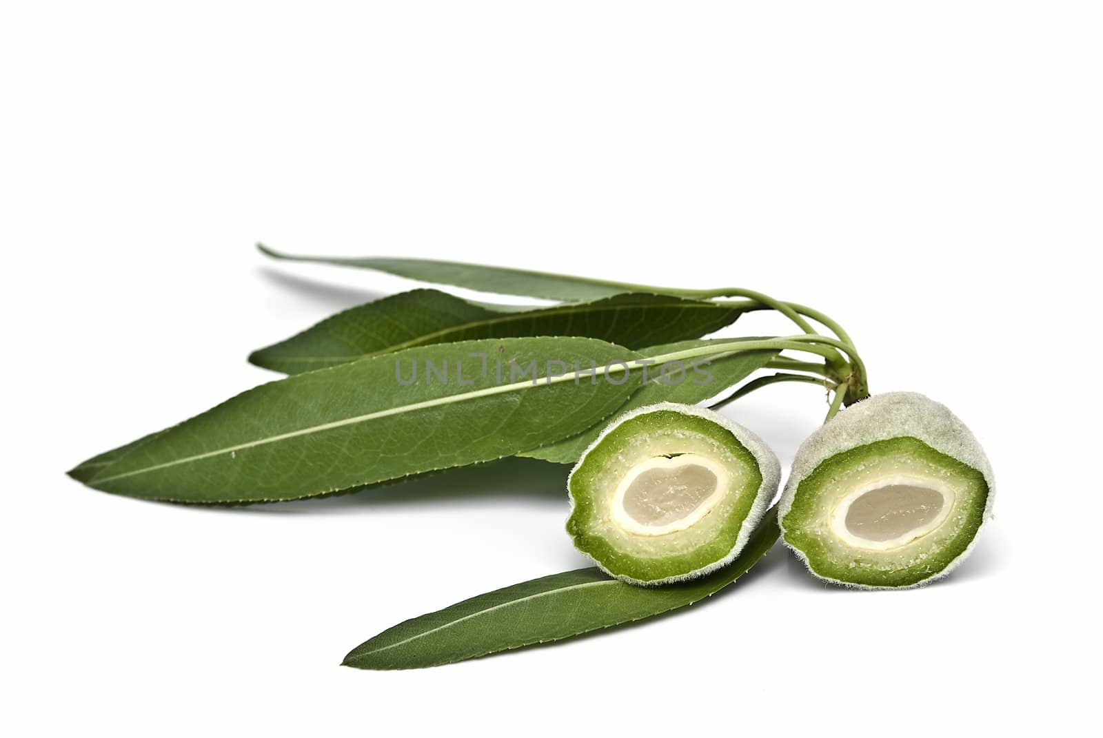 Green almonds isolated on a white background.