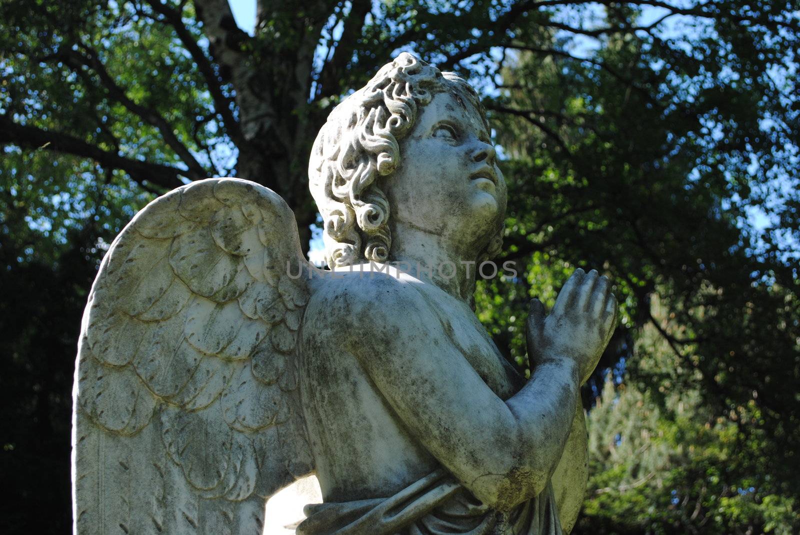 A praying angel statue.