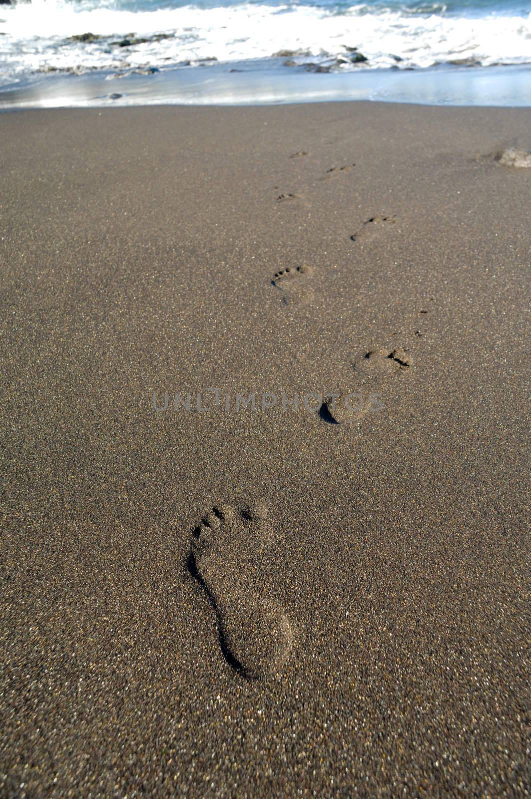 Footprints on the beach leading to the sea.