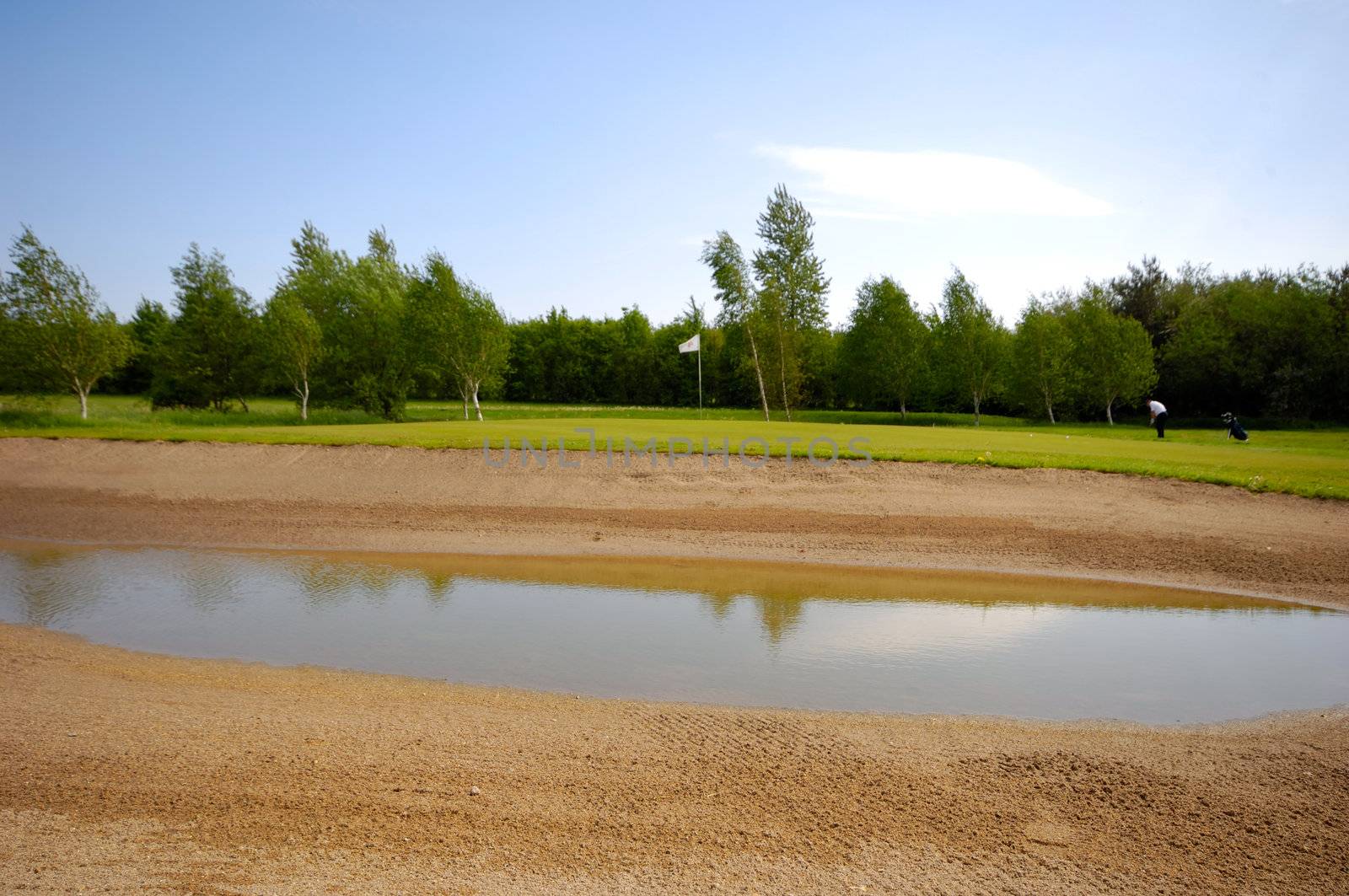 Pond on a golf course