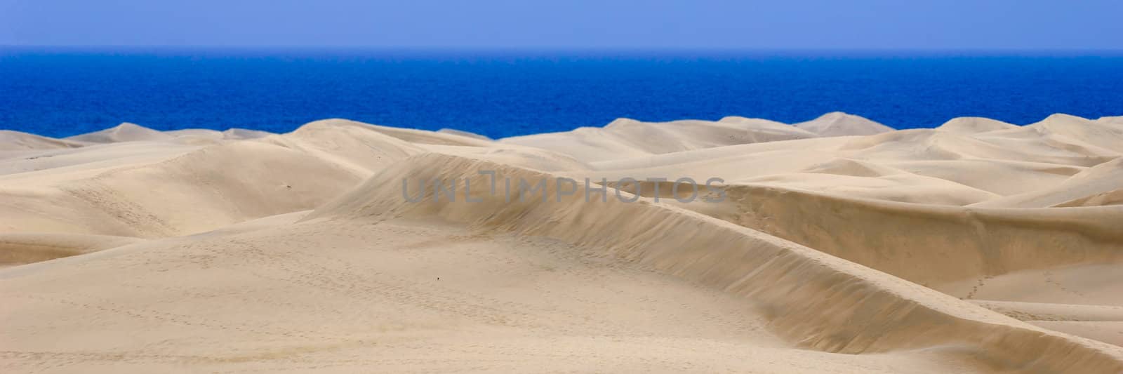 Sand dune panorama 1:3 by cfoto