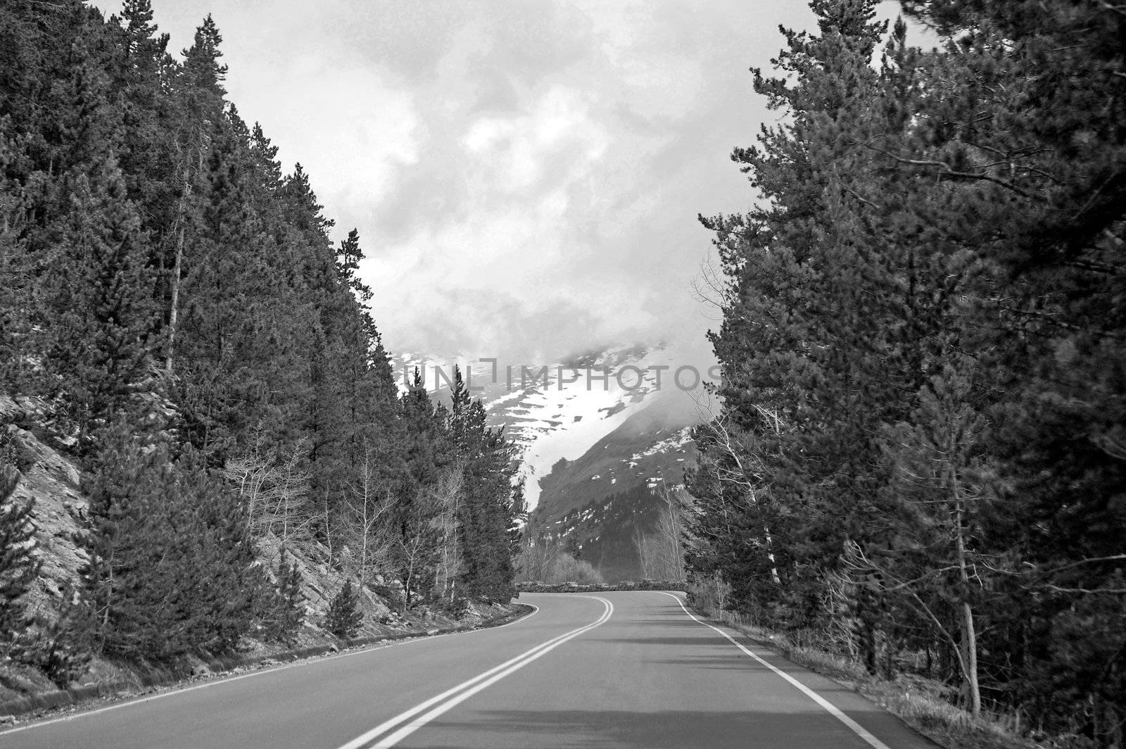 Colorado Mountains by RefocusPhoto