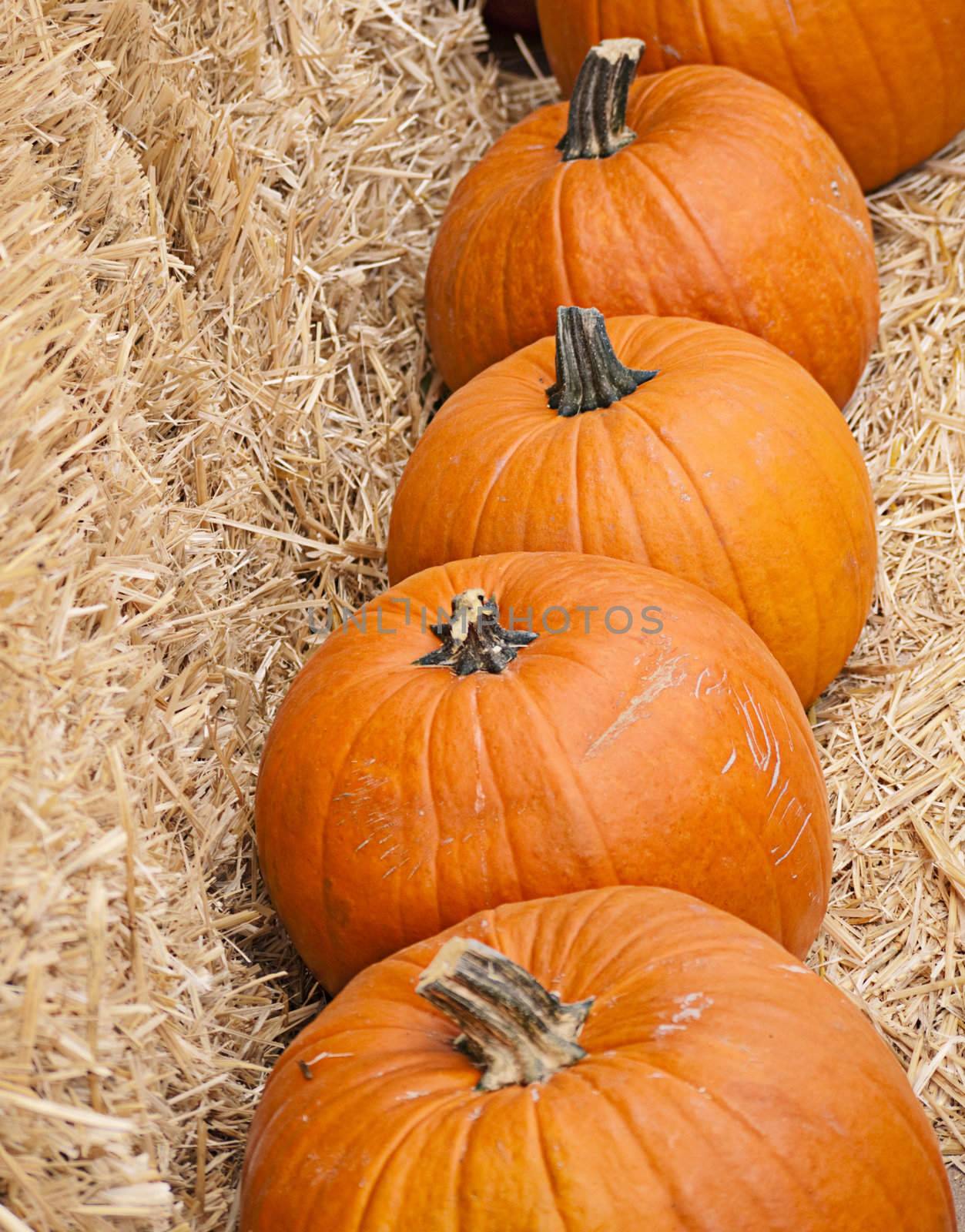 Four large pumpkins on a hay bale seen from above. Good for Halloween or Thanksgiving