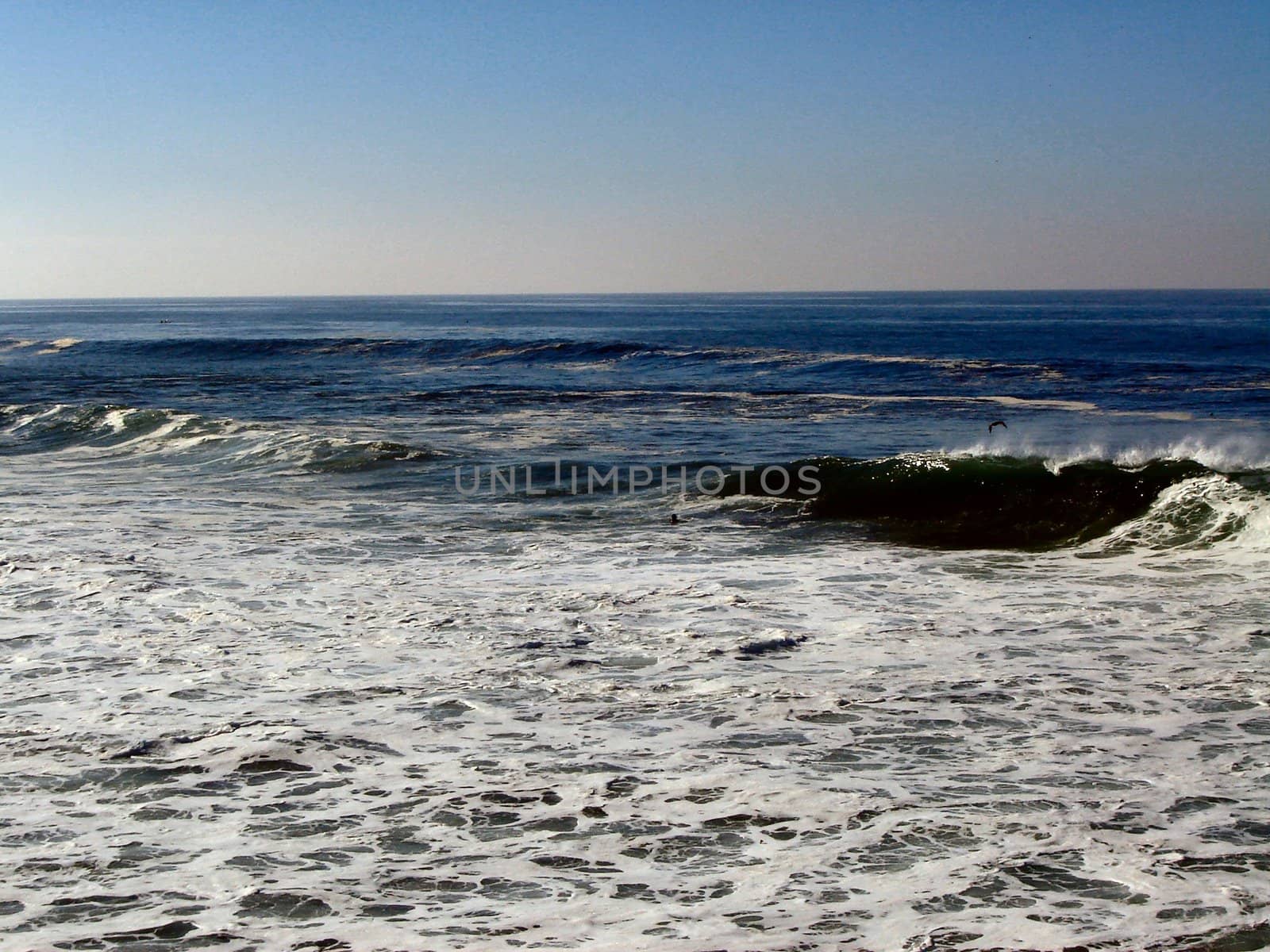 Pacific Ocean Waves